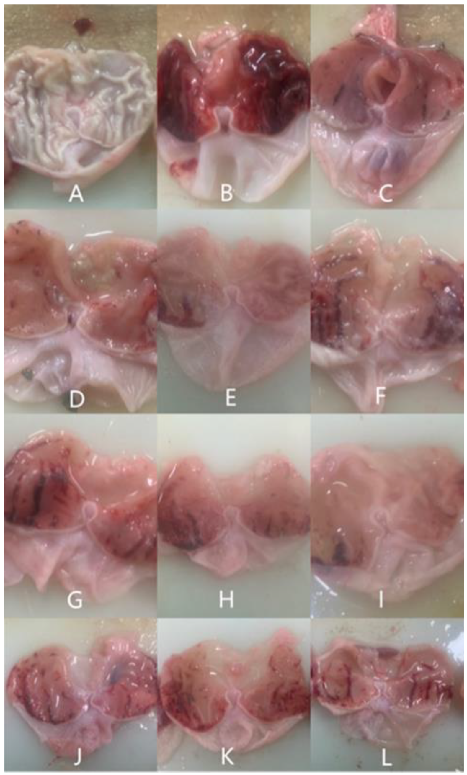 Nutrients 14 01476 g001