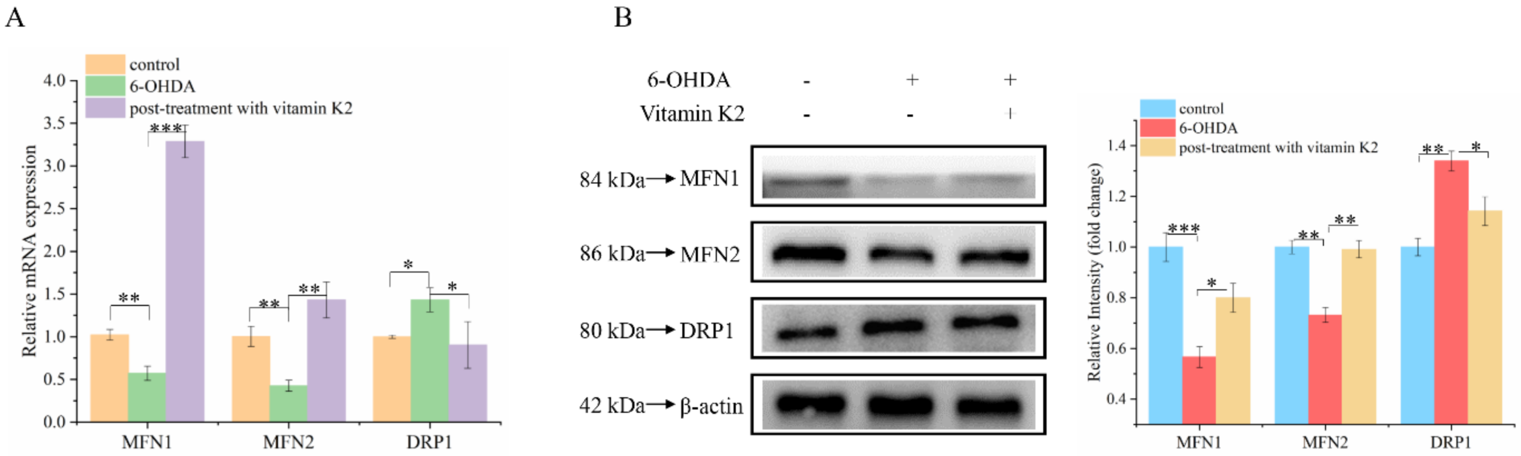 Nutrients 14 01504 g005