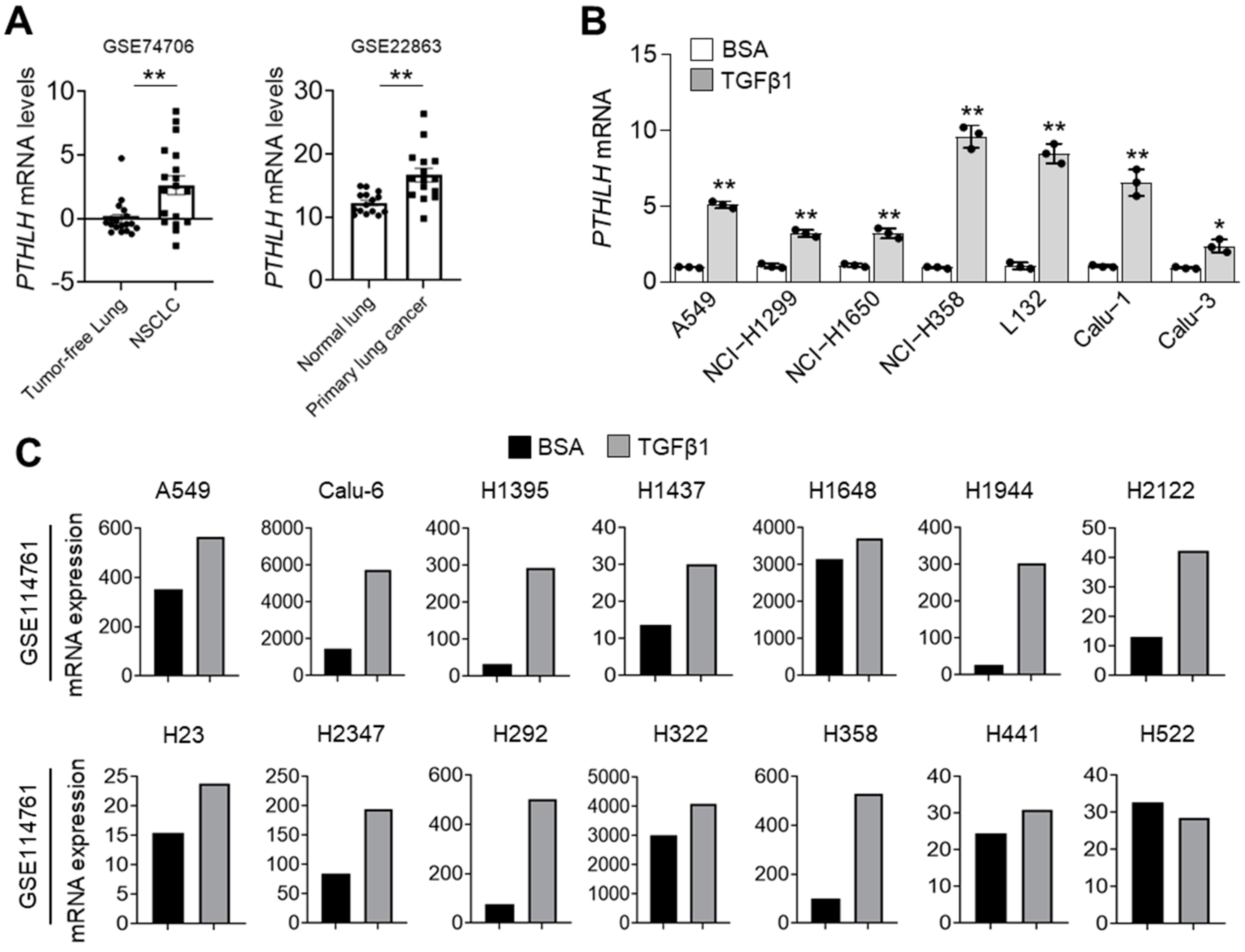 Nutrients 14 01508 g001
