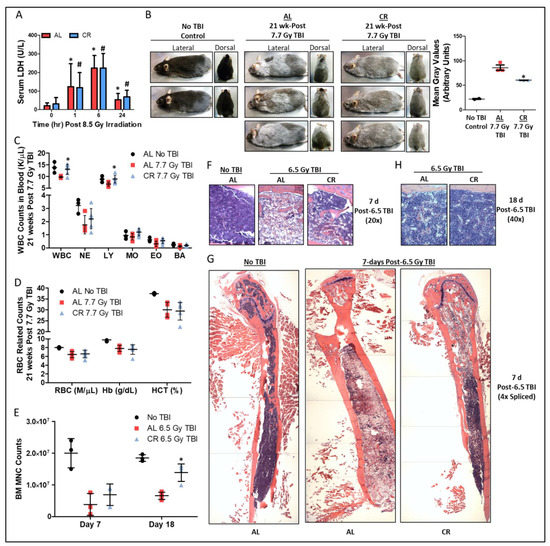 Nutrients 14 01529 g001