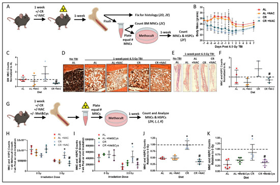 Nutrients 14 01529 g002