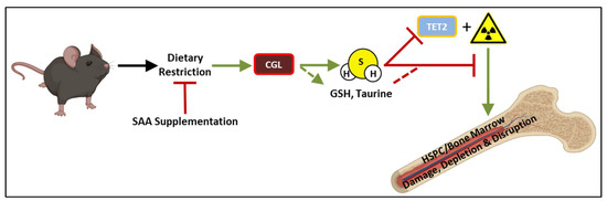 Nutrients 14 01529 g005