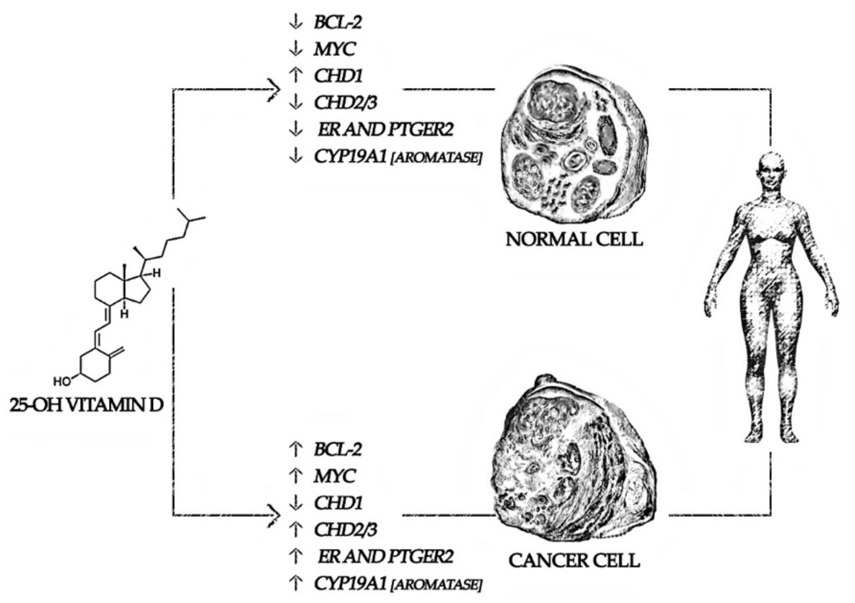 Nutrients 14 01586 g001