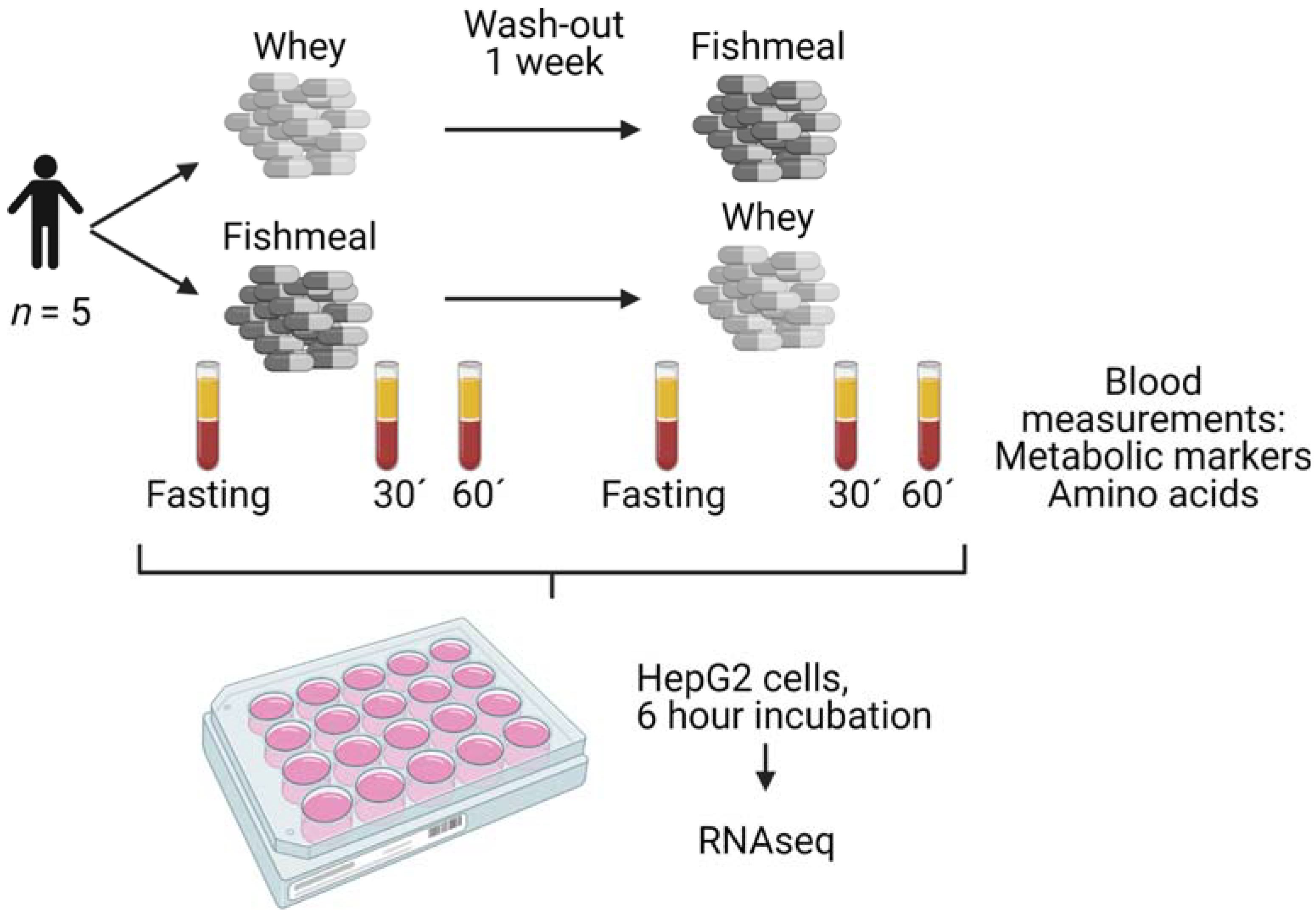 Nutrients 14 01593 g001