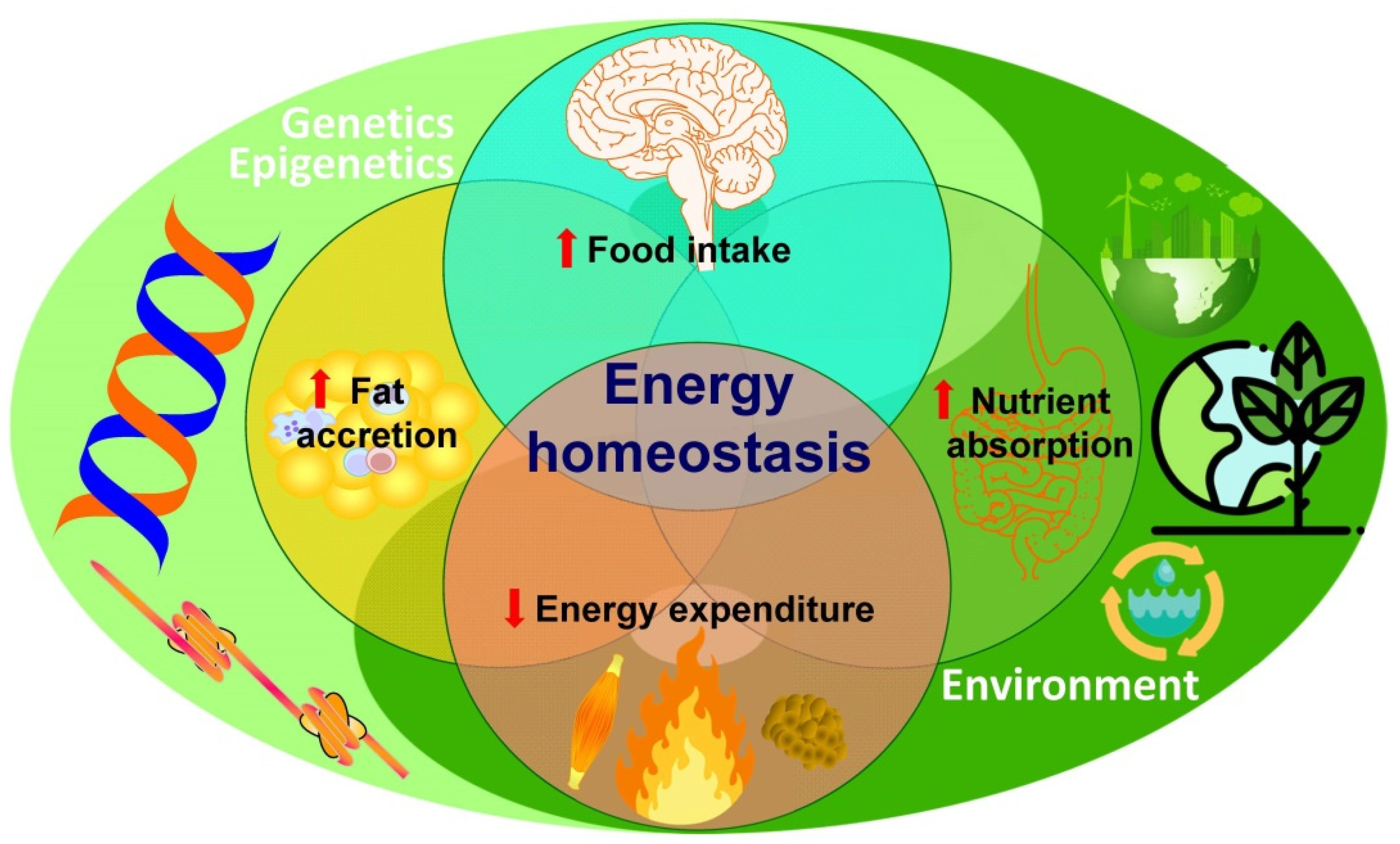 Nutrients 14 01597 g001