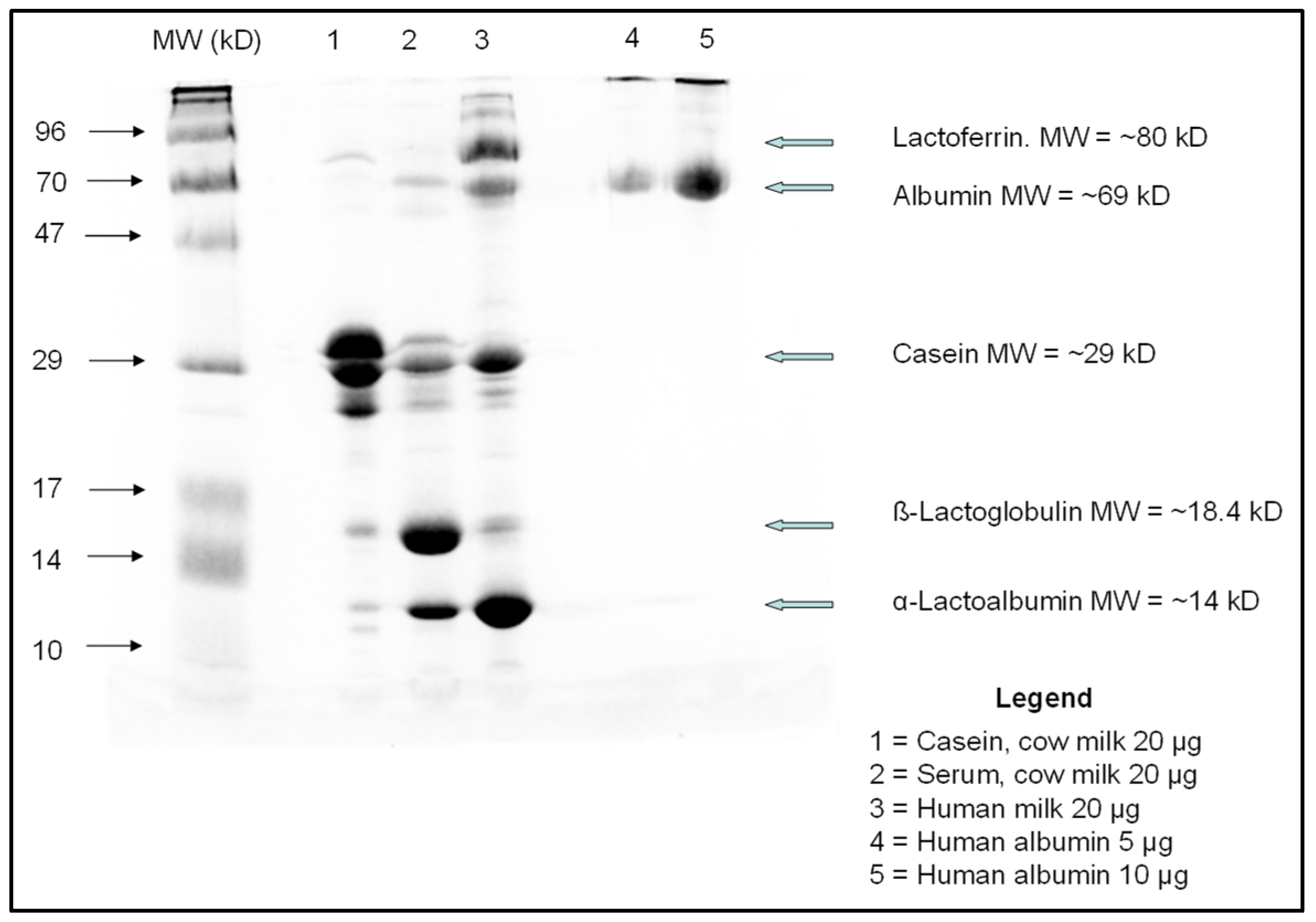 Nutrients 14 01624 g0a1