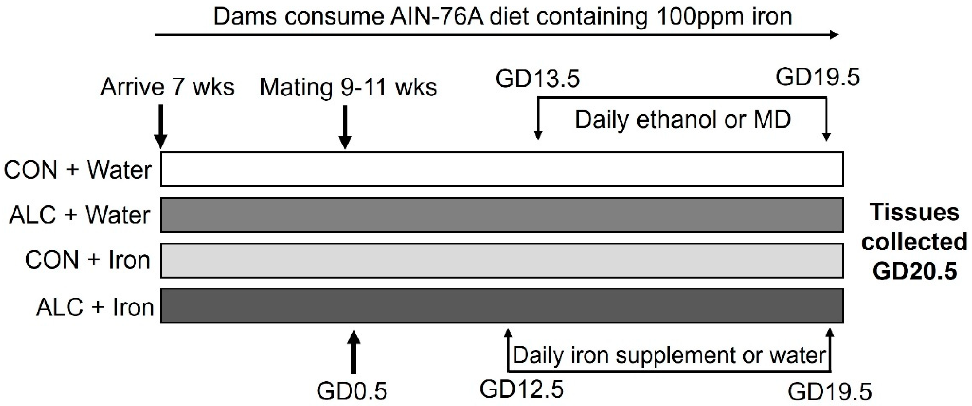 Nutrients 14 01653 g001