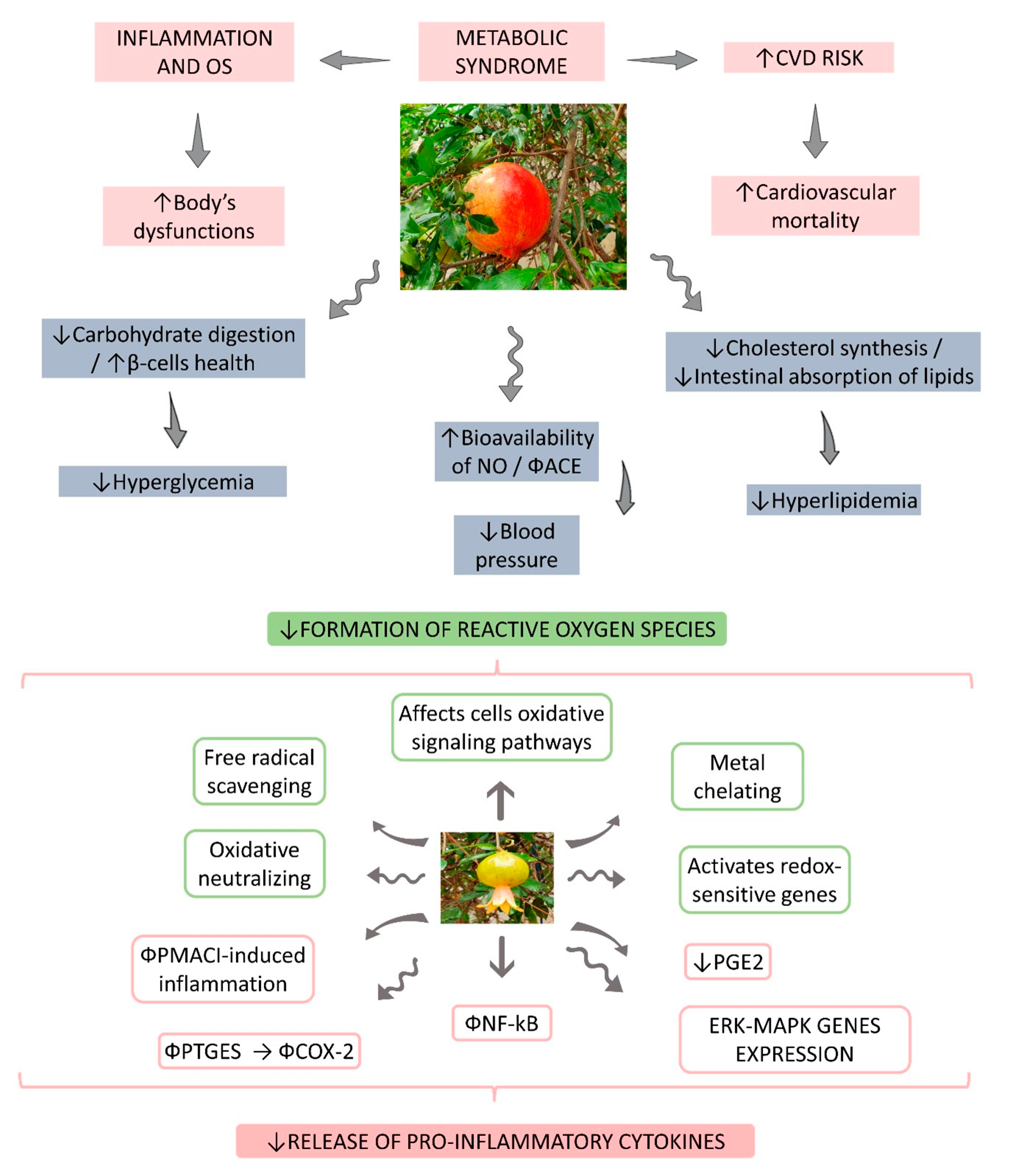 Nutrients 14 01665 g001