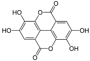 Nutrients 14 01665 i002