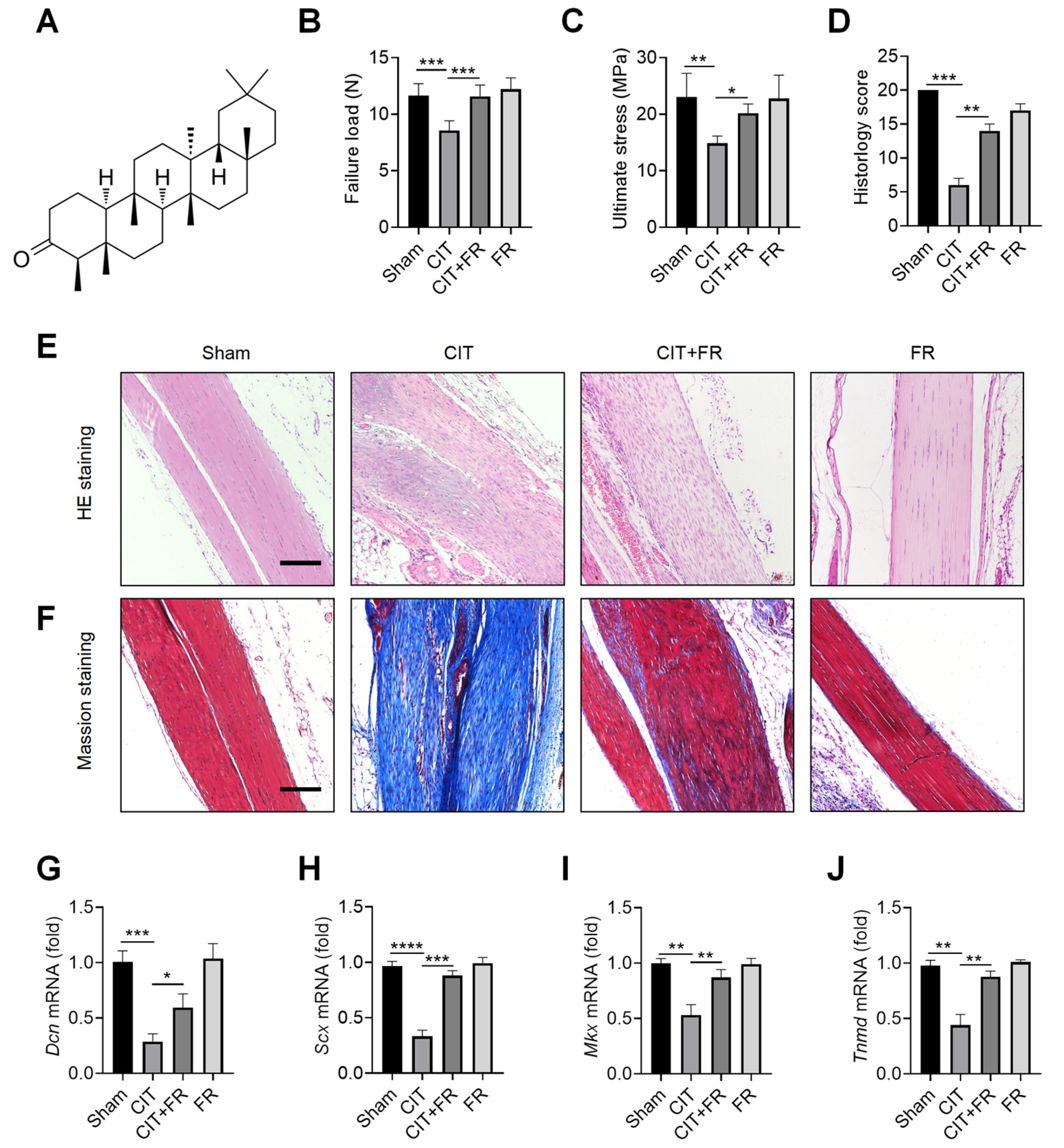Nutrients 14 01673 g001