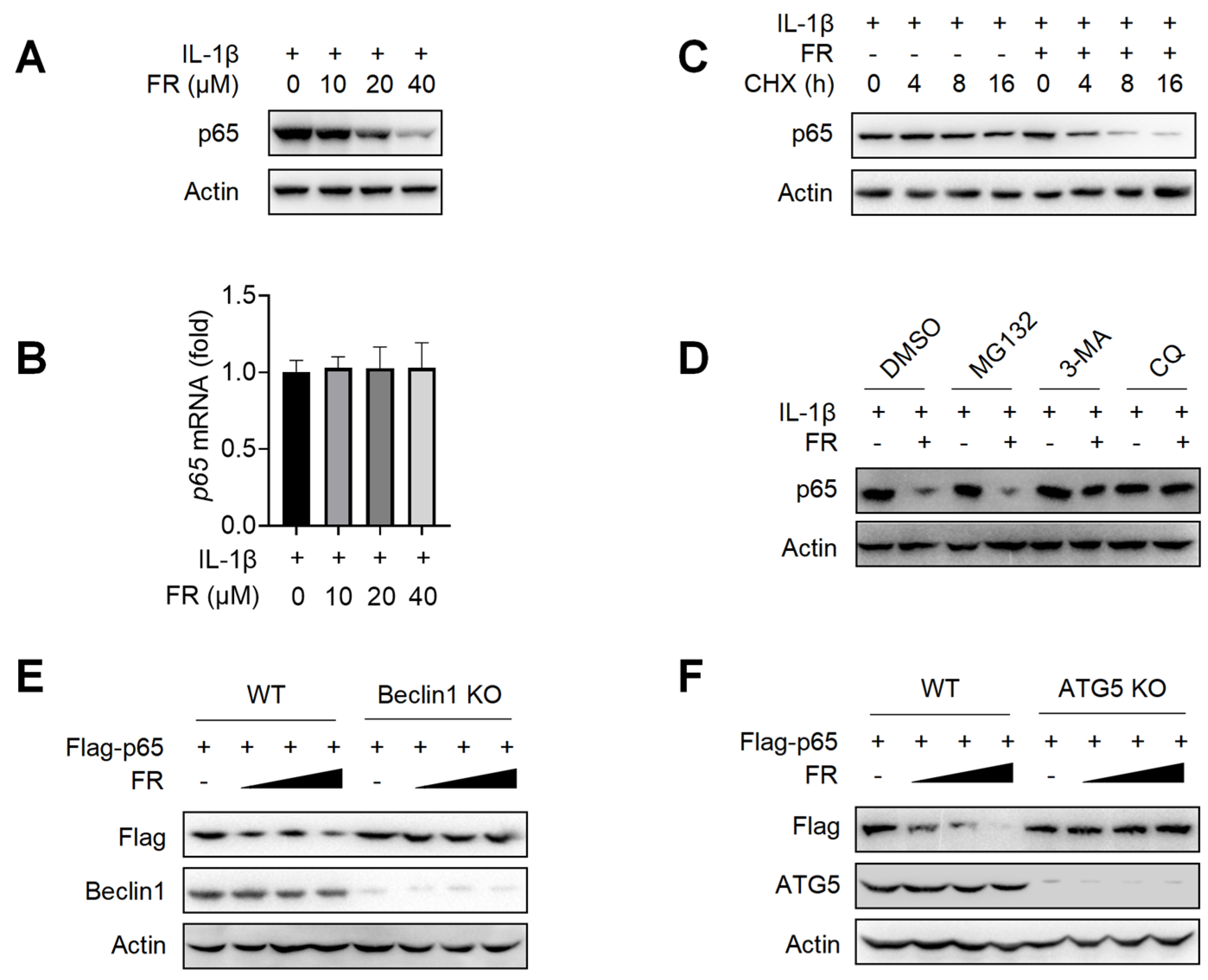 Nutrients 14 01673 g004
