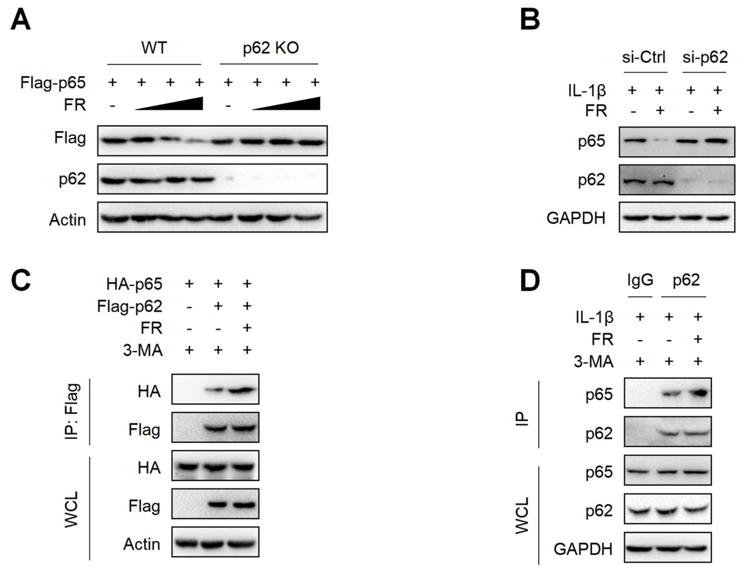 Nutrients 14 01673 g005