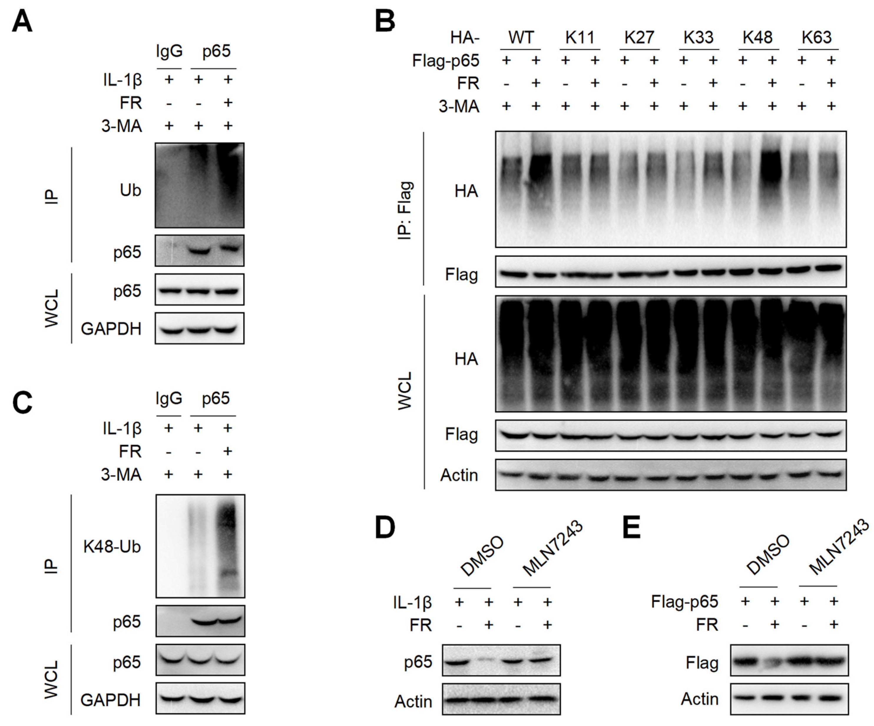 Nutrients 14 01673 g006