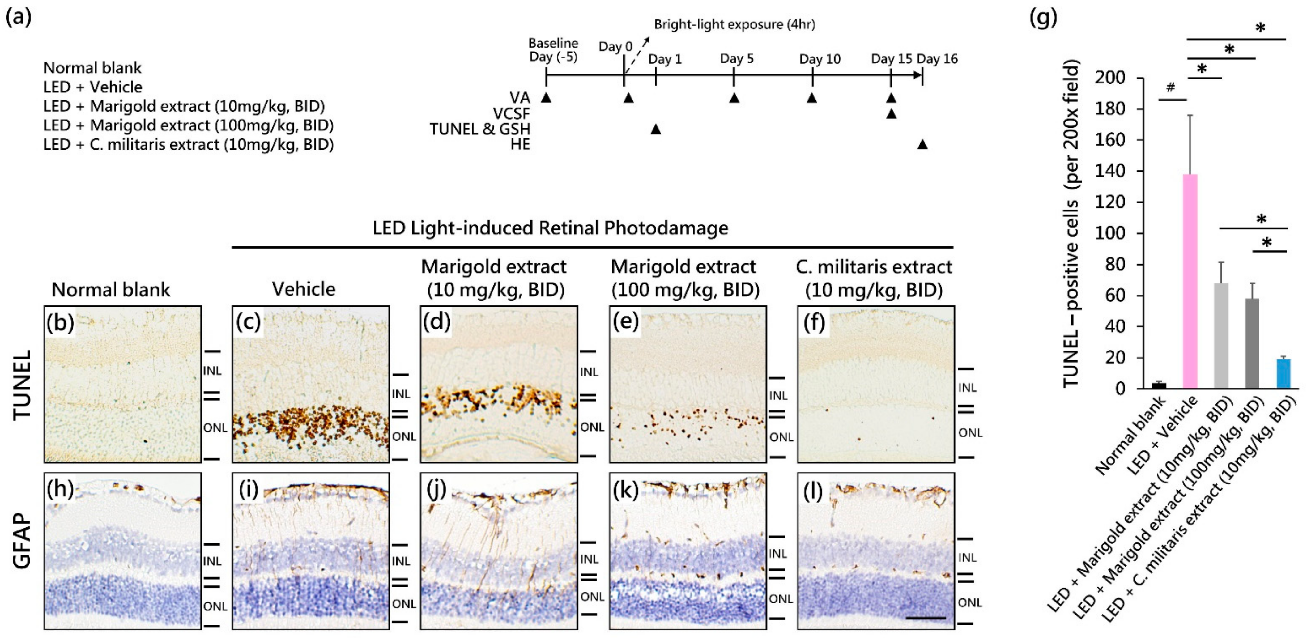 Nutrients 14 01675 g002