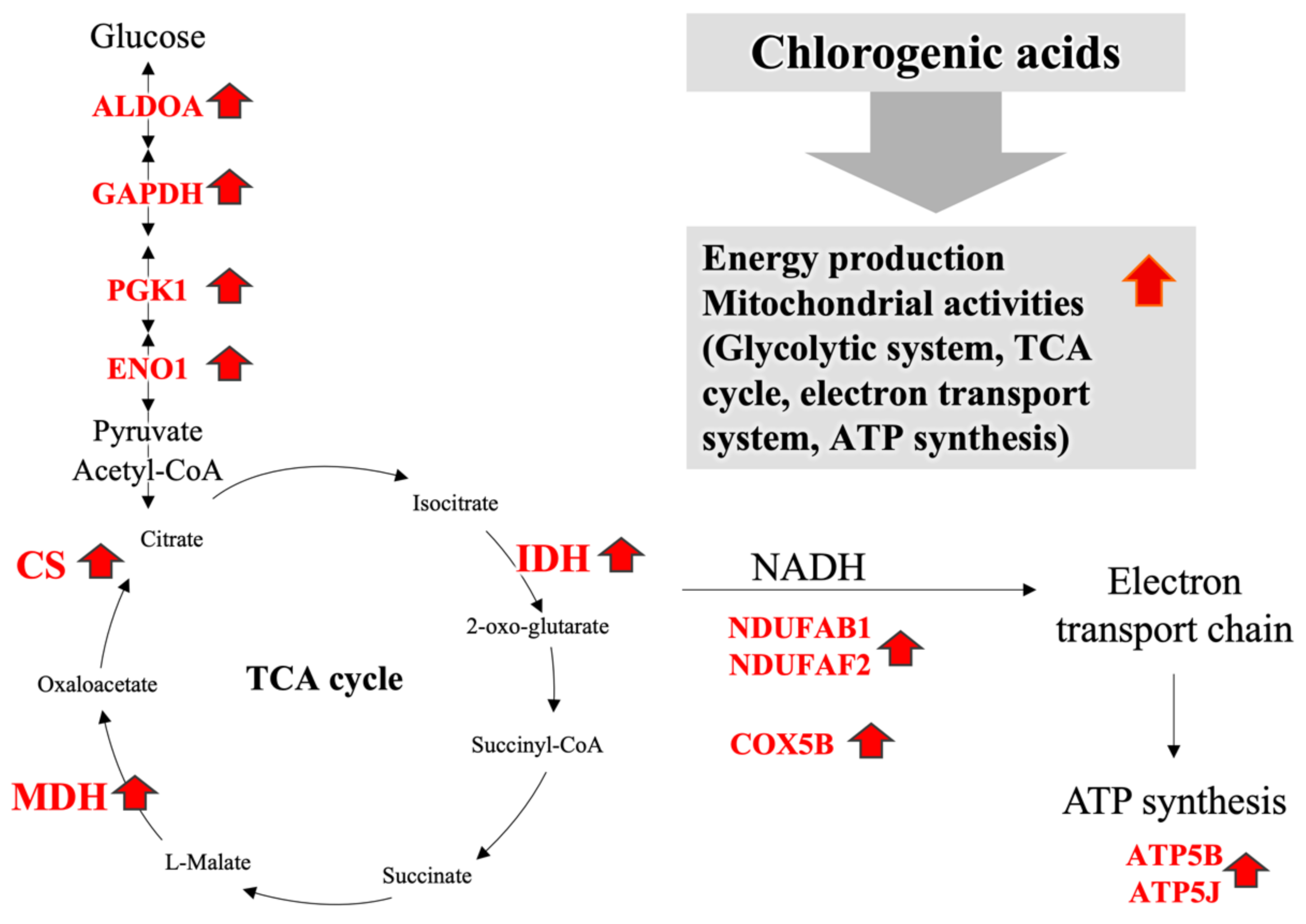 Nutrients 14 01676 g003
