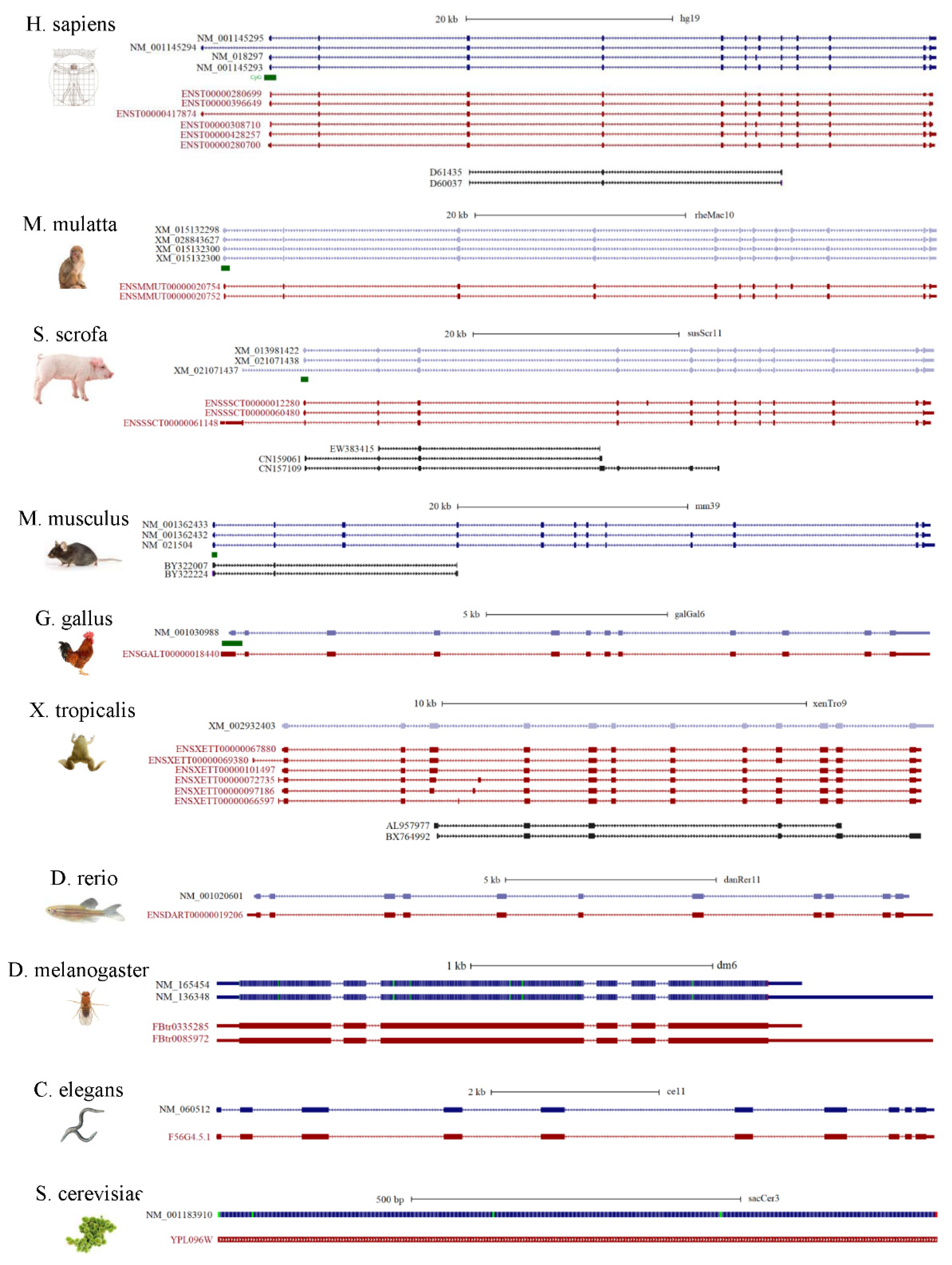 Nutrients 14 01690 g007