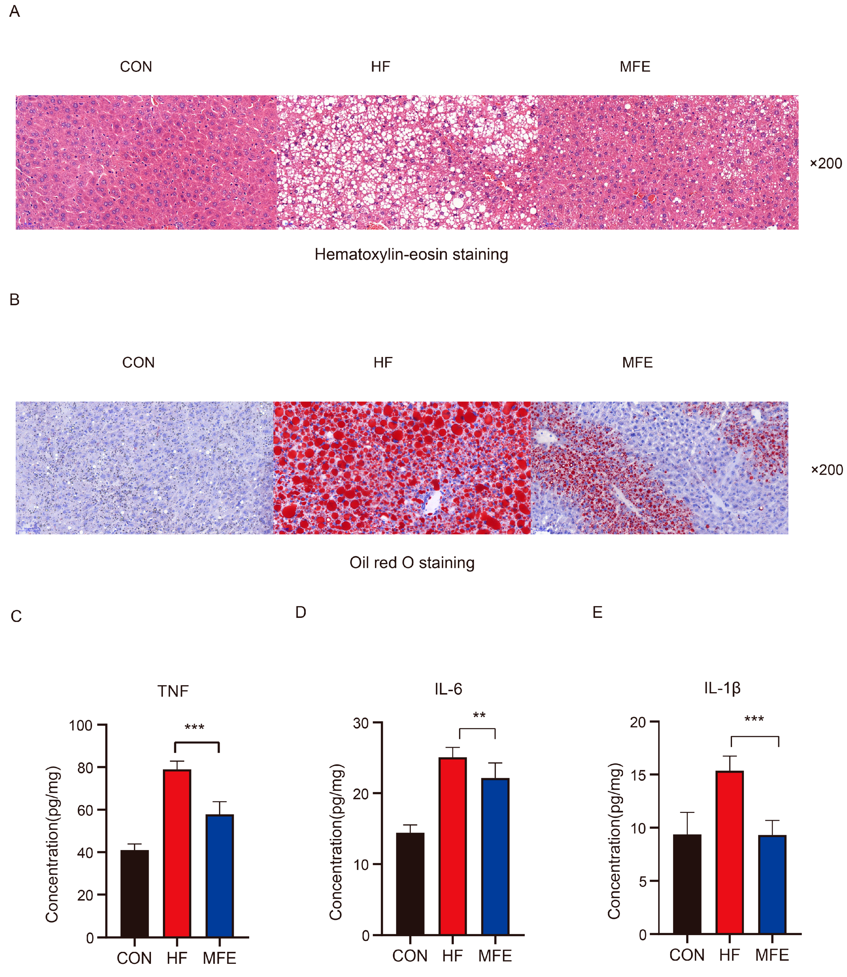 Nutrients 14 01699 g001