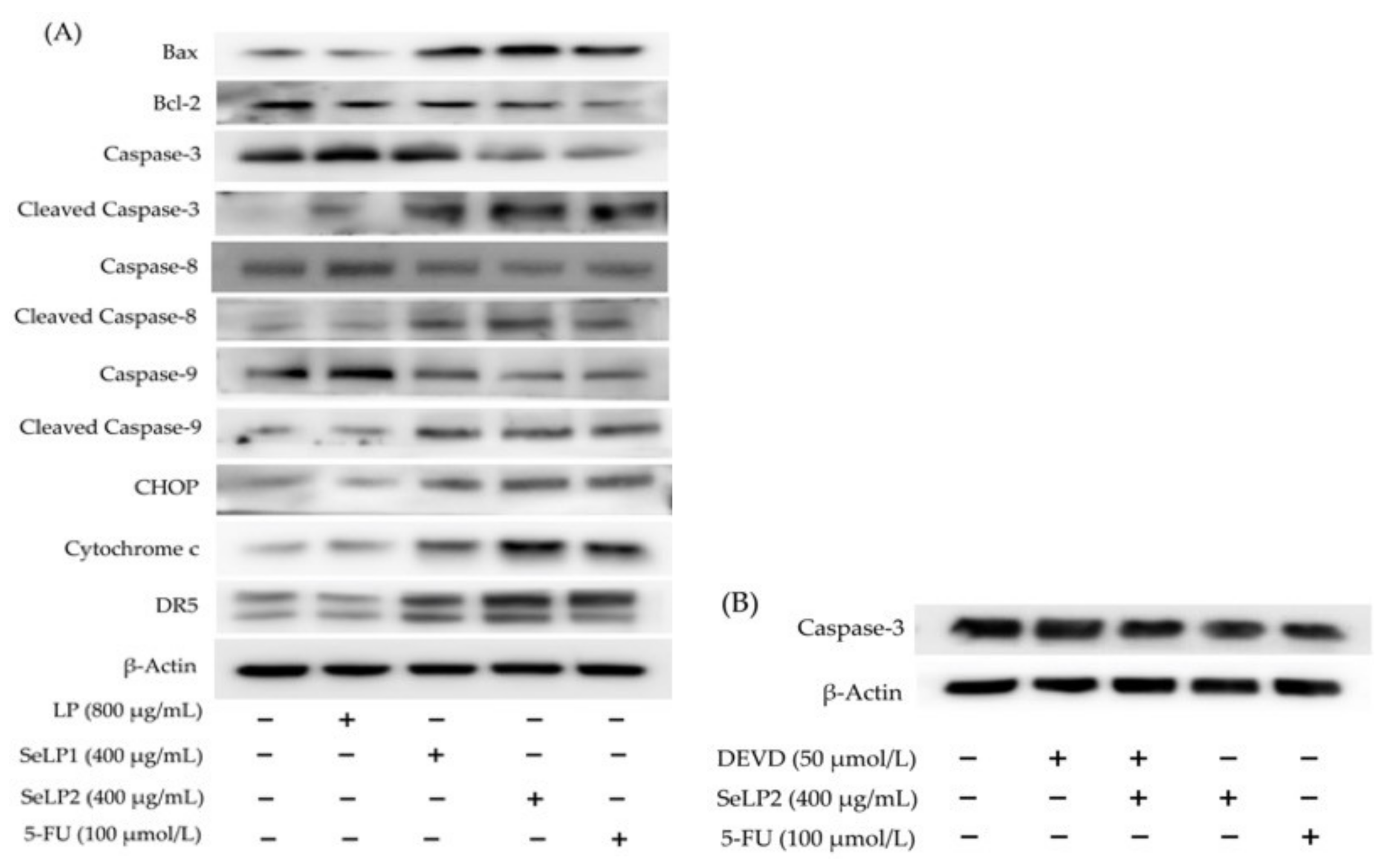 Nutrients 14 01710 g006 Nutrients 14 01710 g006