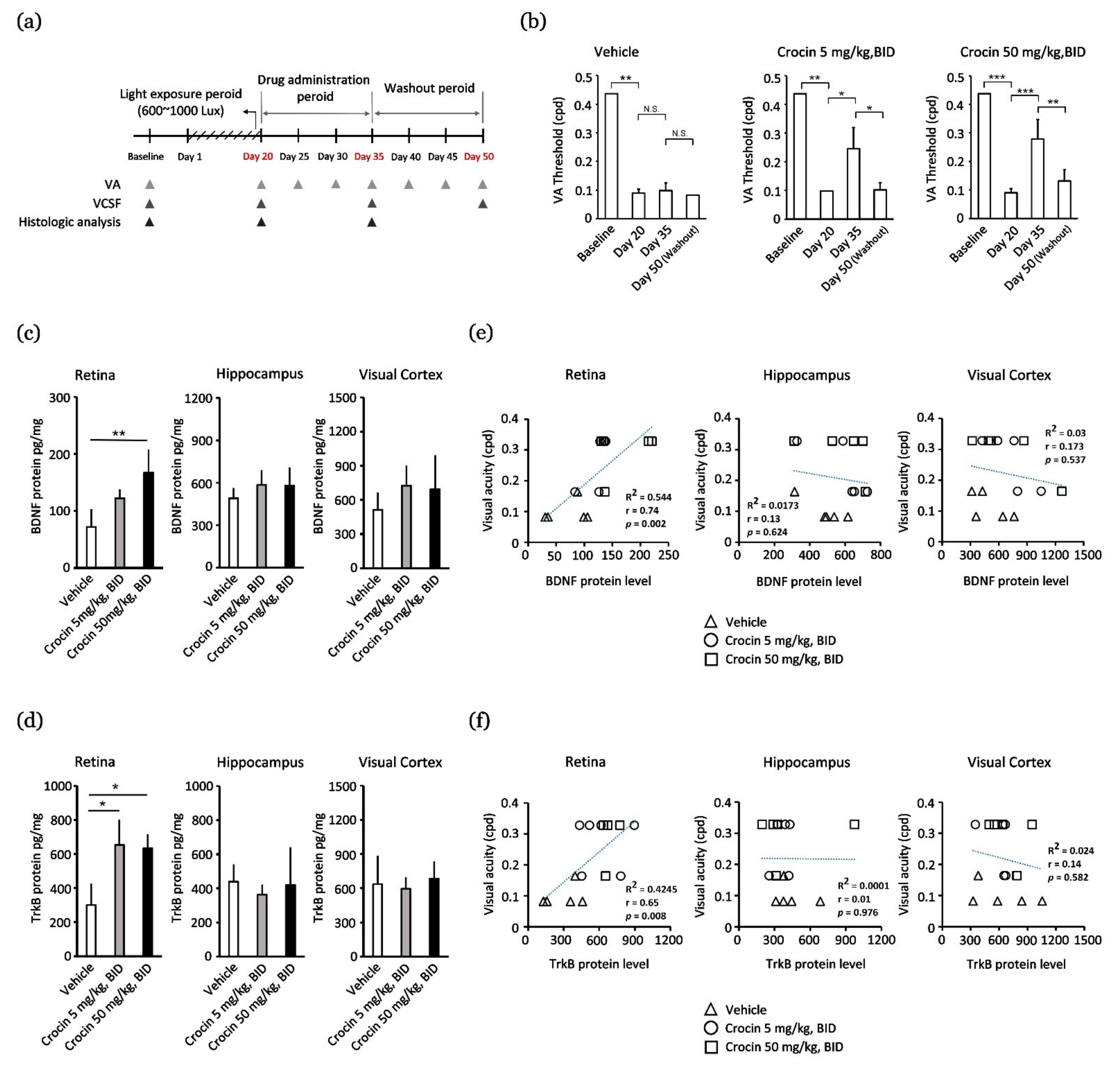 Nutrients 14 01716 g001 Nutrients 14 01716 g001