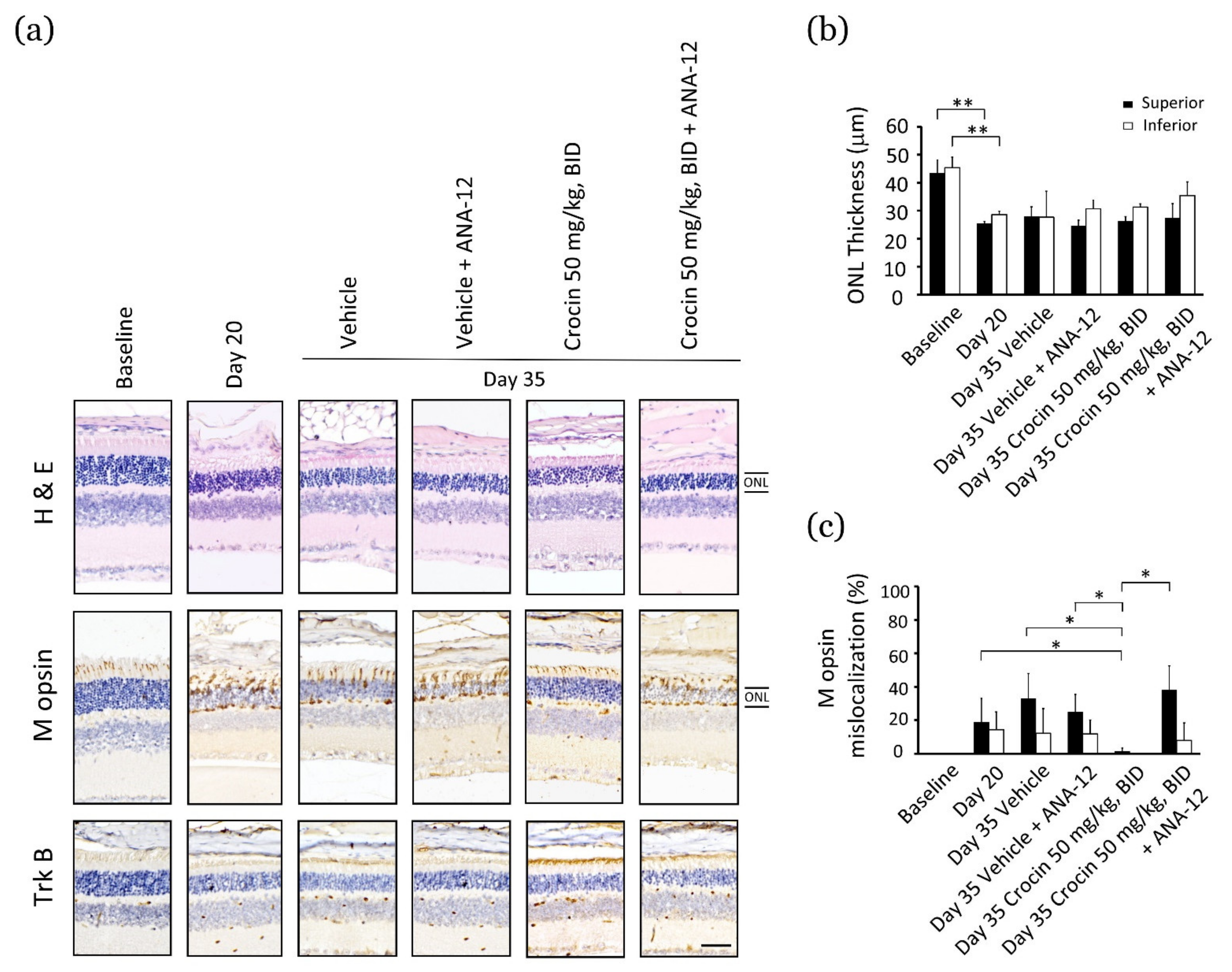 Nutrients 14 01716 g003 Nutrients 14 01716 g003