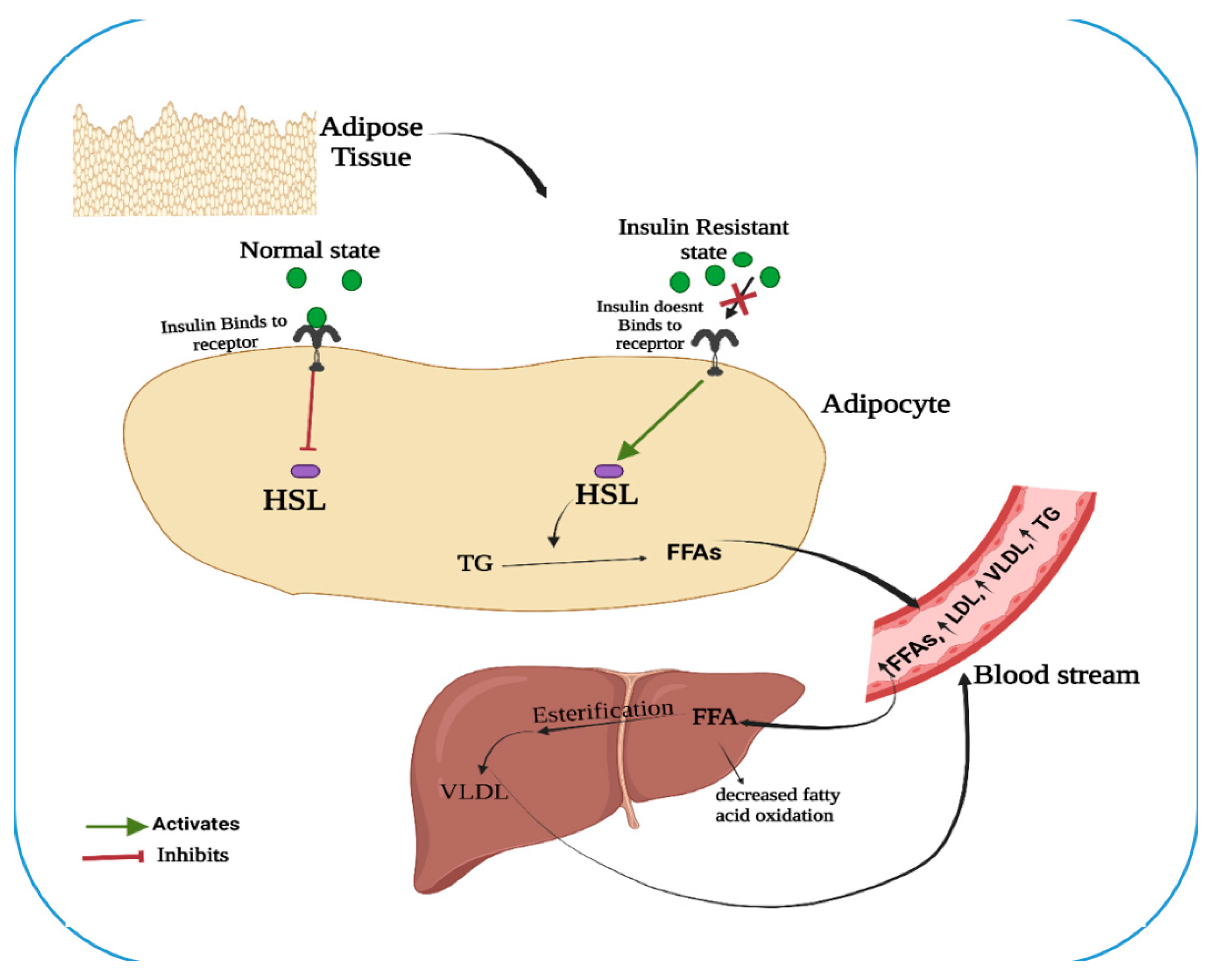 Nutrients 14 01723 g001