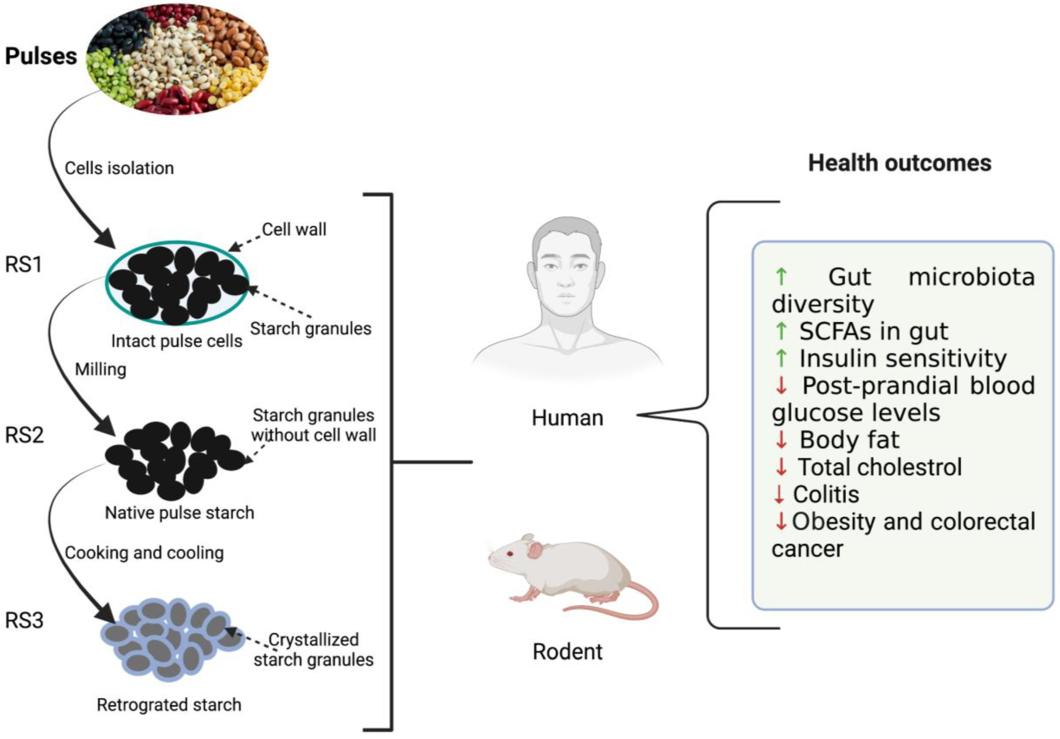 Nutrients 14 01726 g001