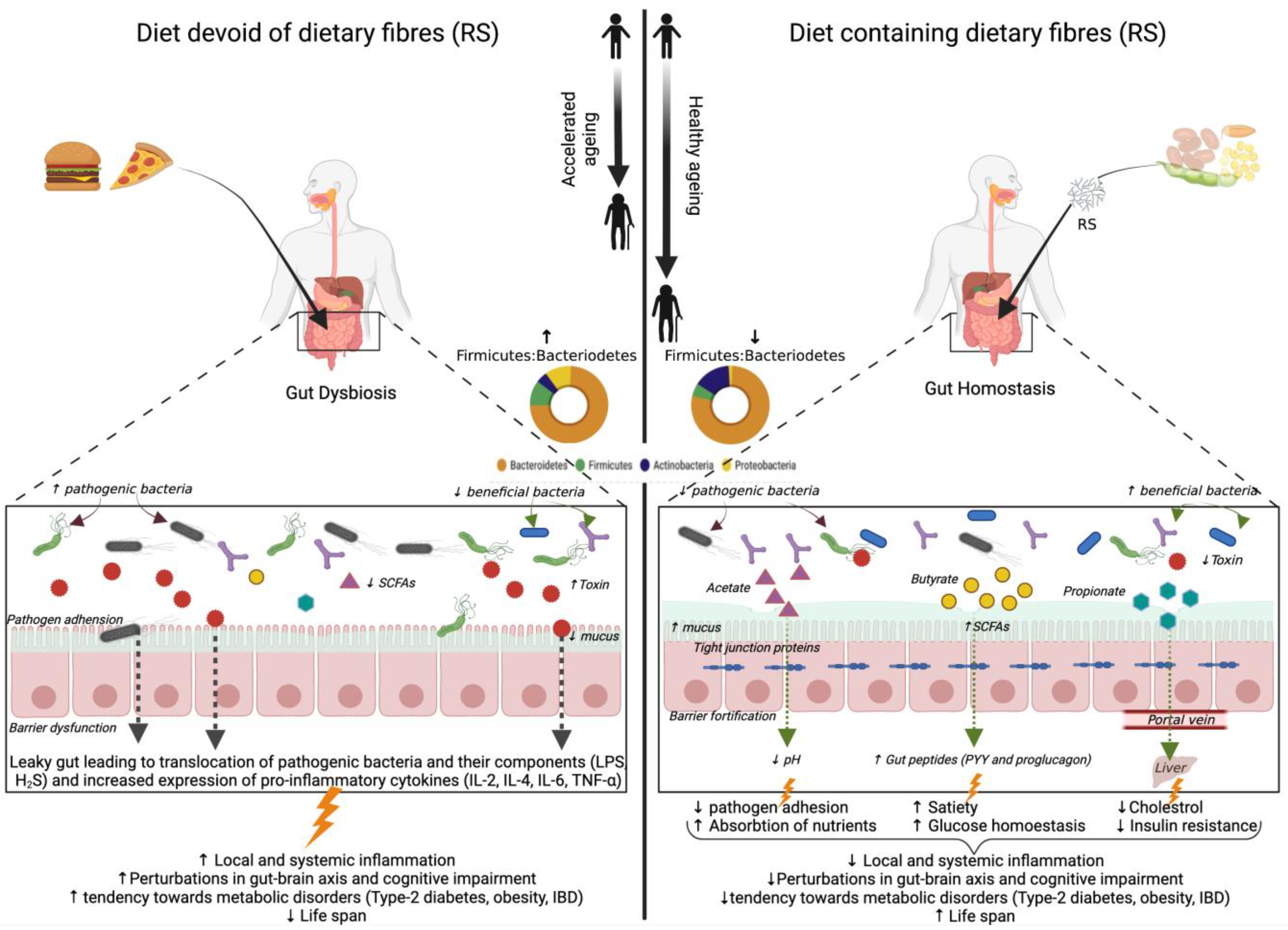 Nutrients 14 01726 g002