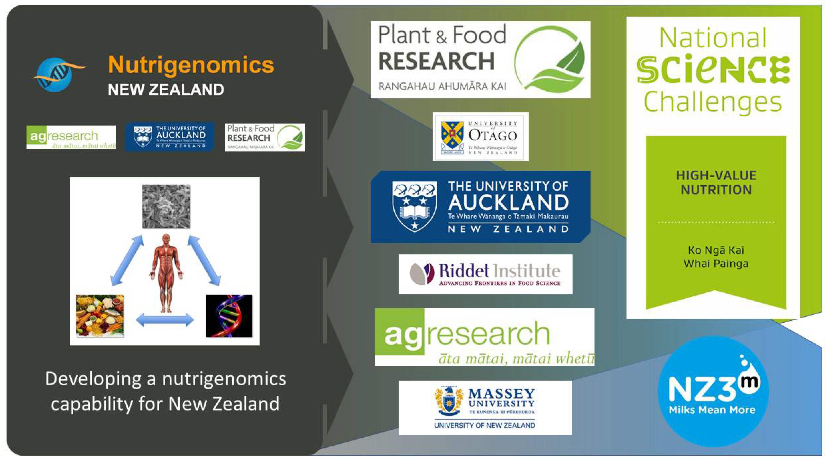 Nutrients 14 01743 g001 Nutrients 14 01743 g001