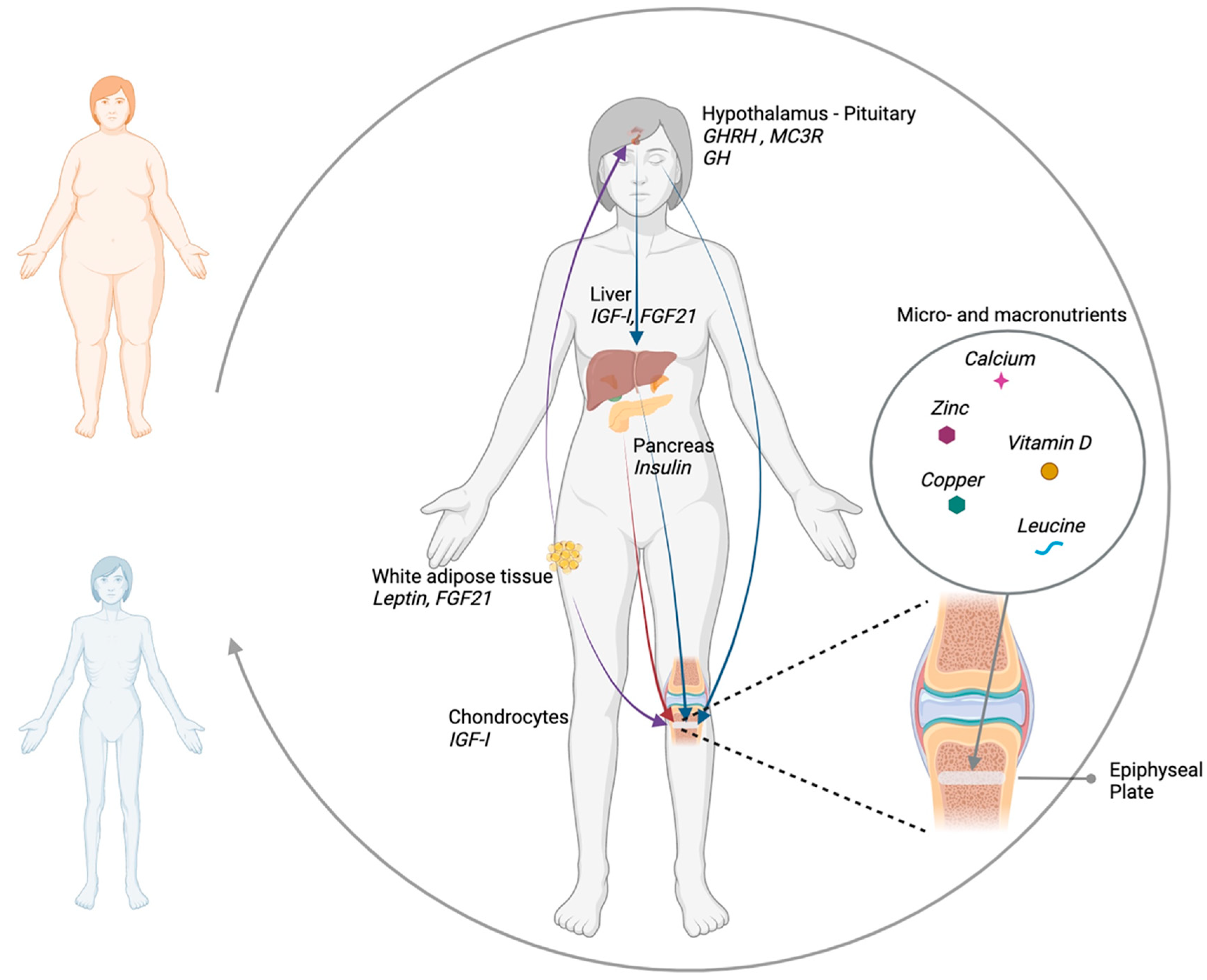 Nutrients 14 01752 g001