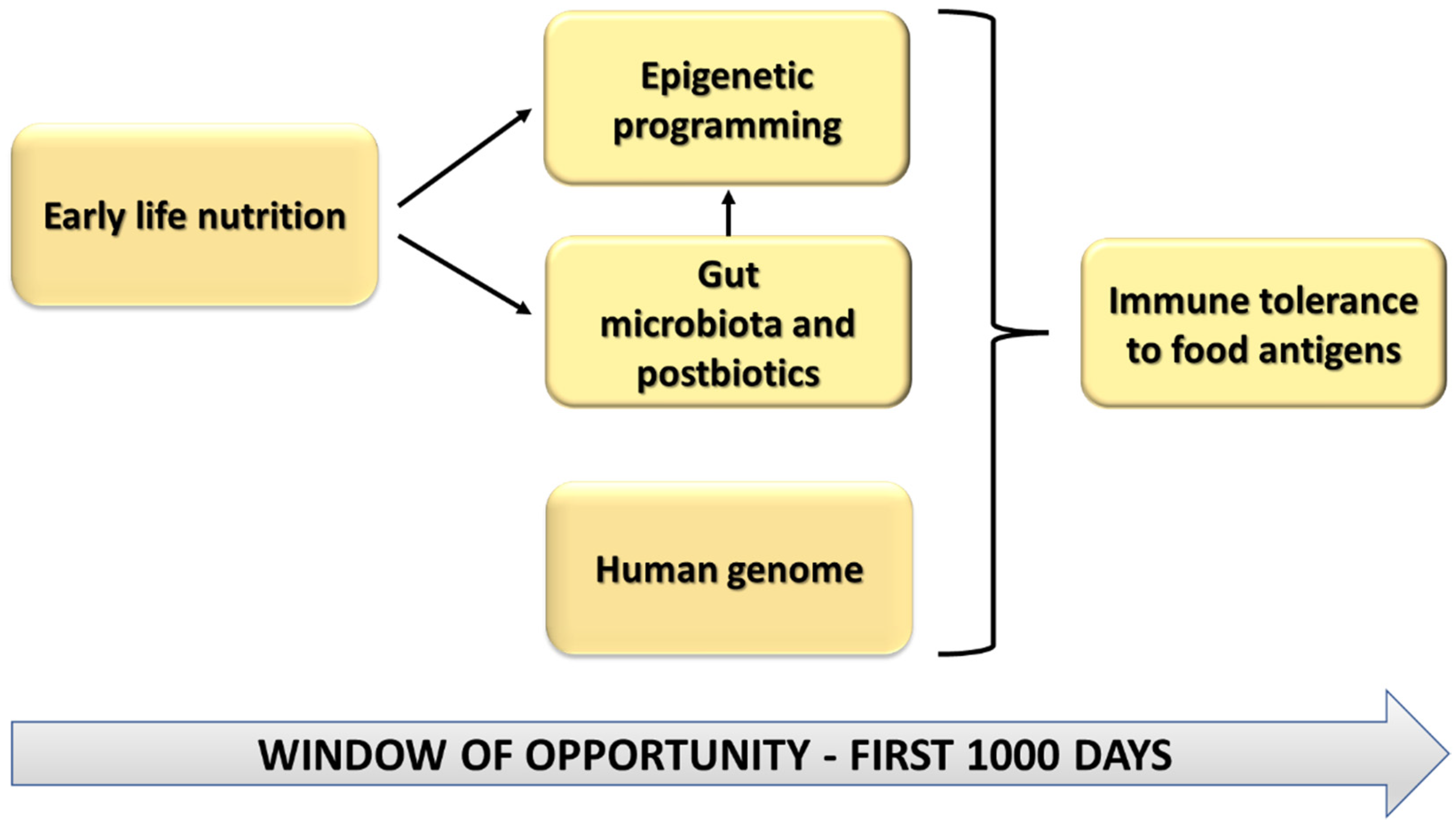 Nutrients 14 01766 g001 Nutrients 14 01766 g001