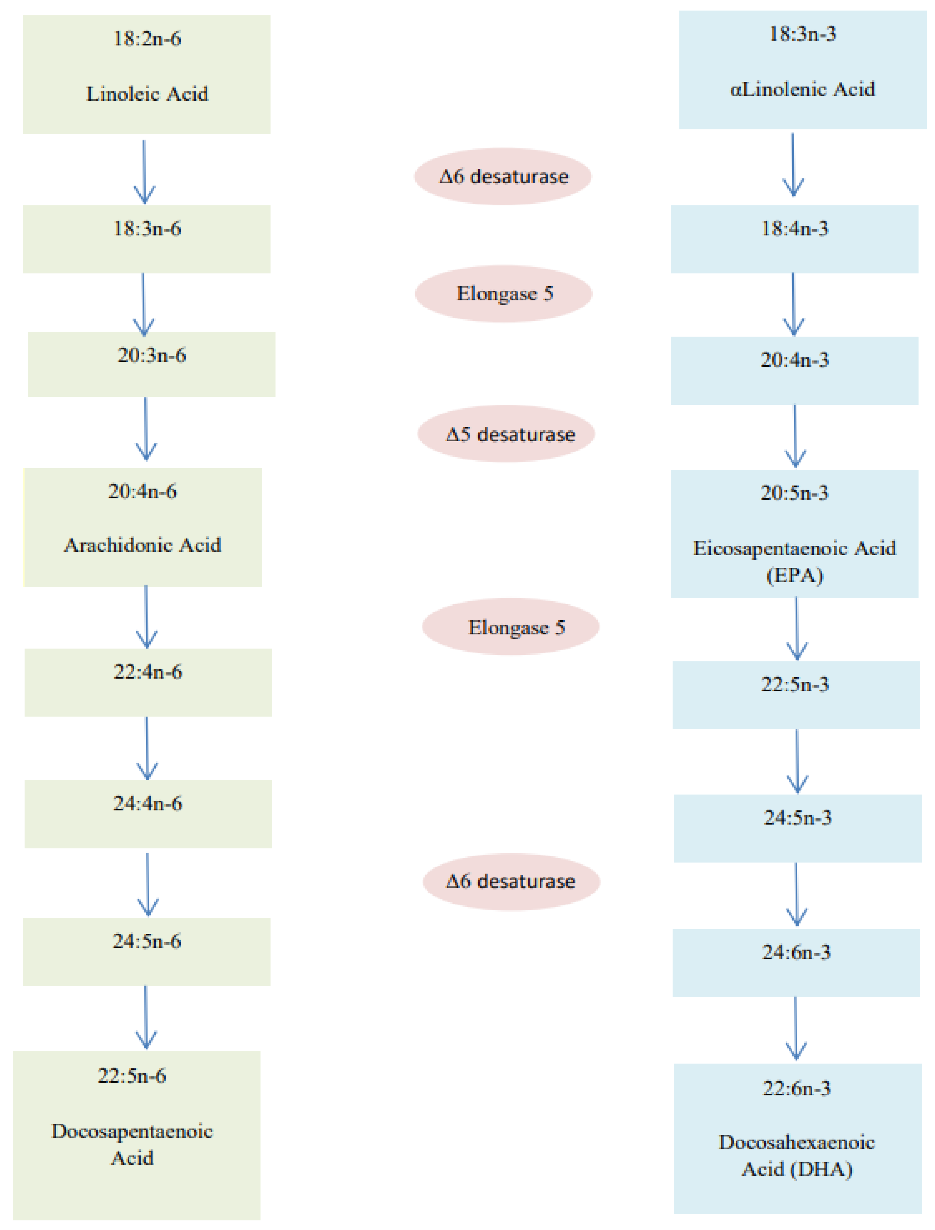 Nutrients 14 01766 g002 Nutrients 14 01766 g002
