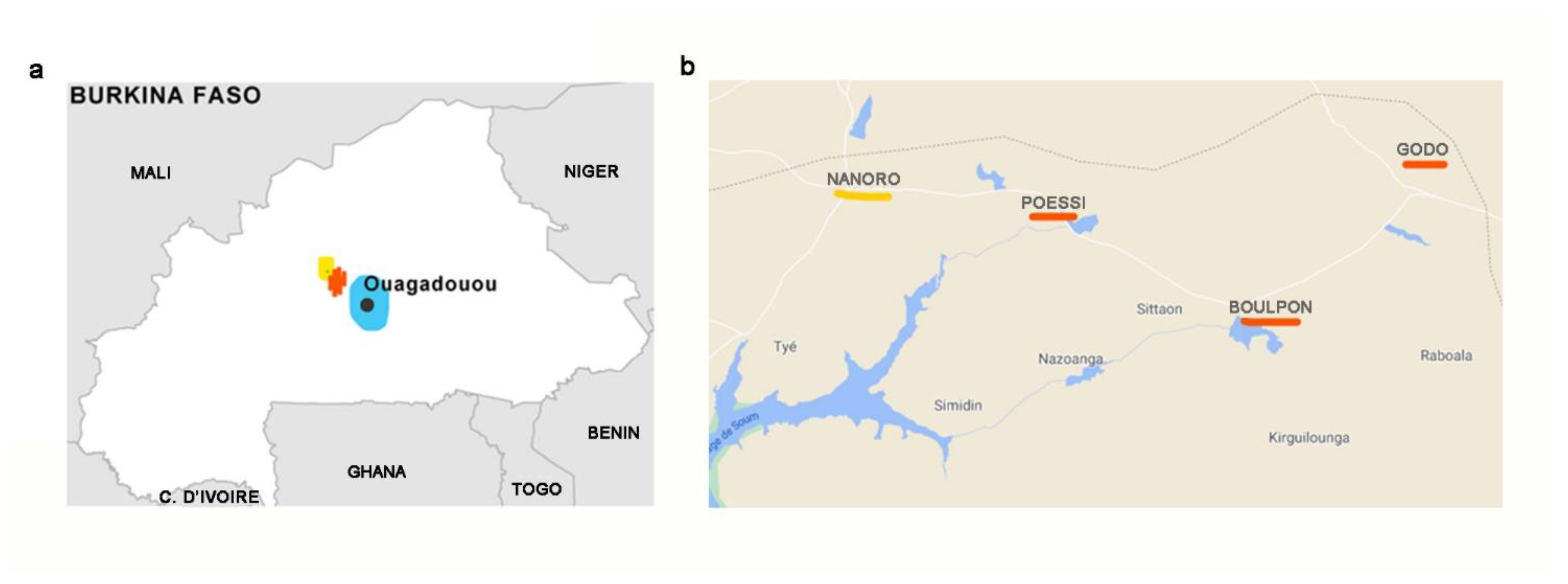 Nutrients 14 01782 g001