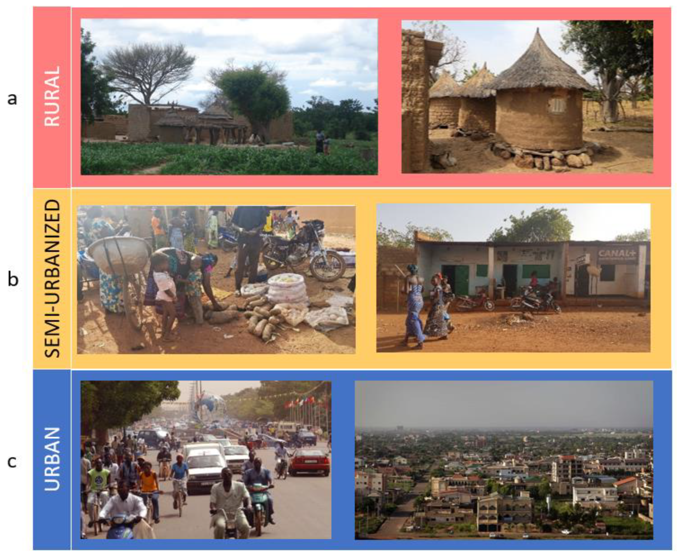 Nutrients 14 01782 g002