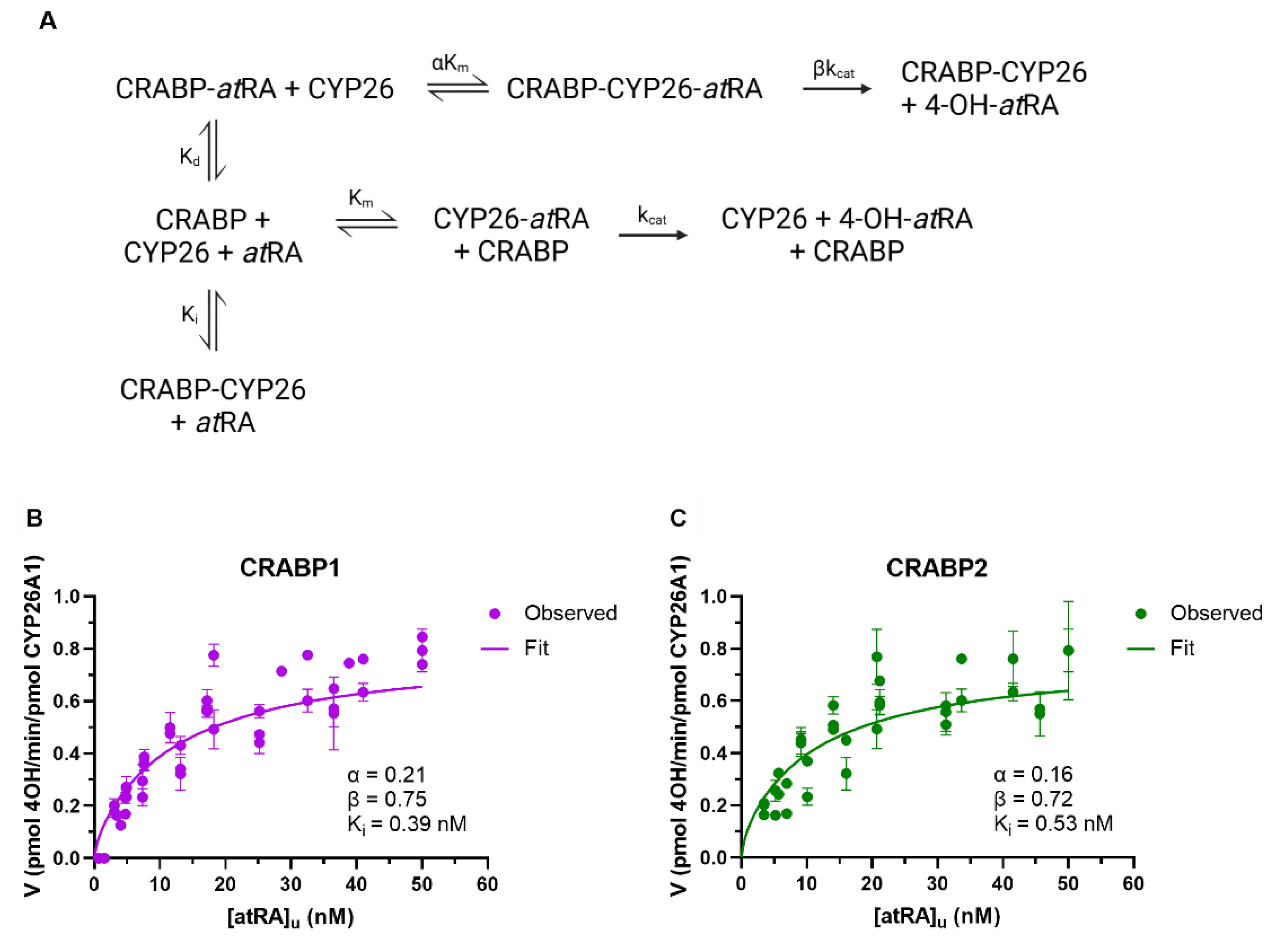 Nutrients 14 01784 g005