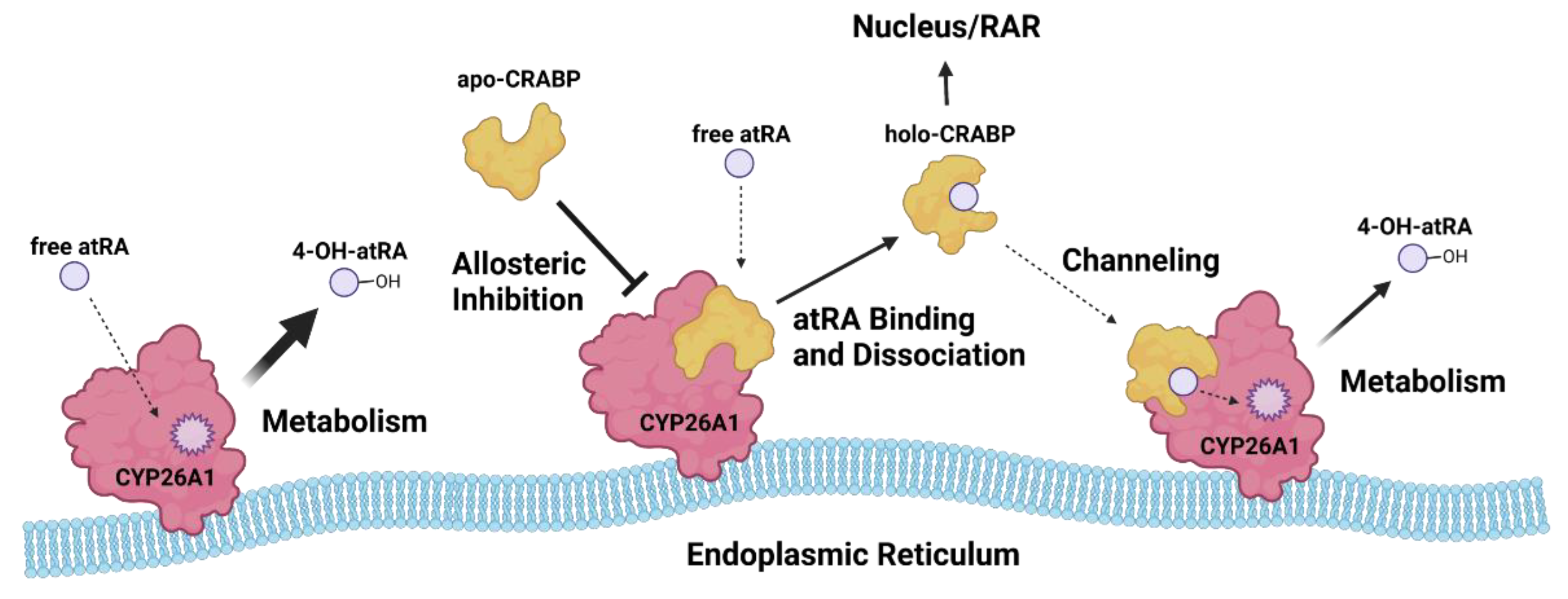 Nutrients 14 01784 g006