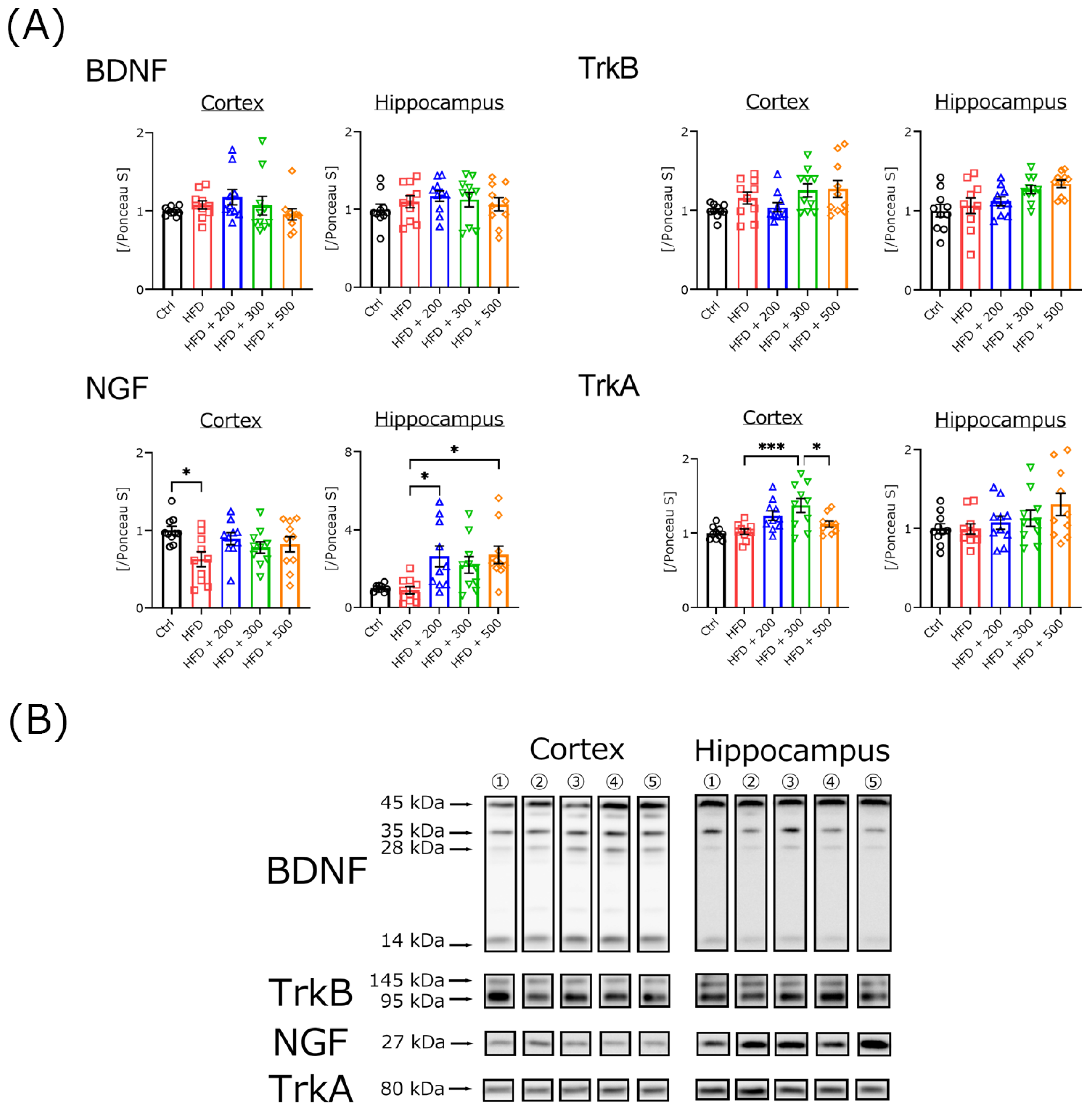 Nutrients 14 01794 g004 Nutrients 14 01794 g004