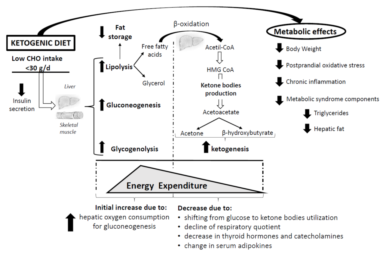 Nutrients 14 01814 g001