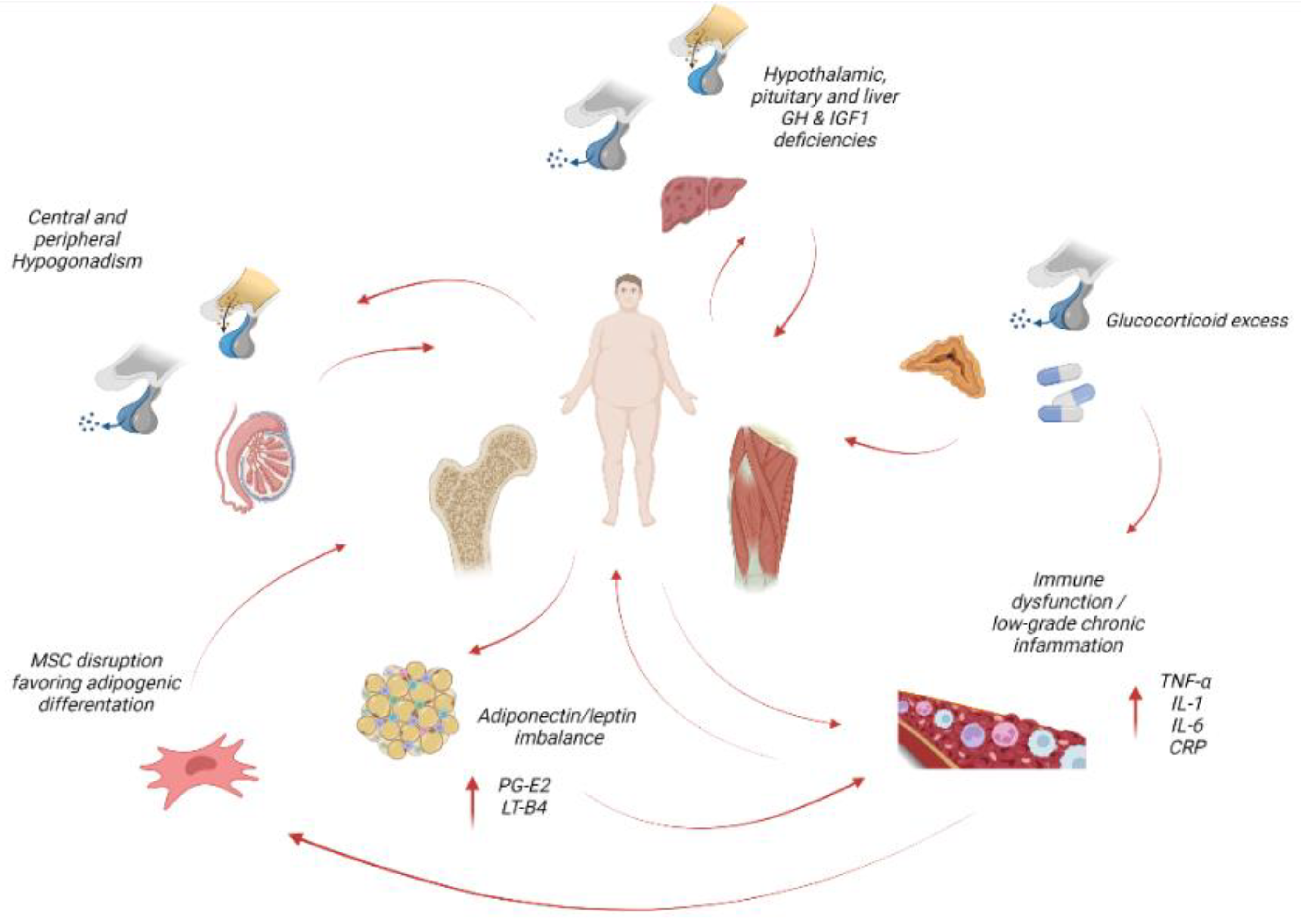 Nutrients 14 01816 g001