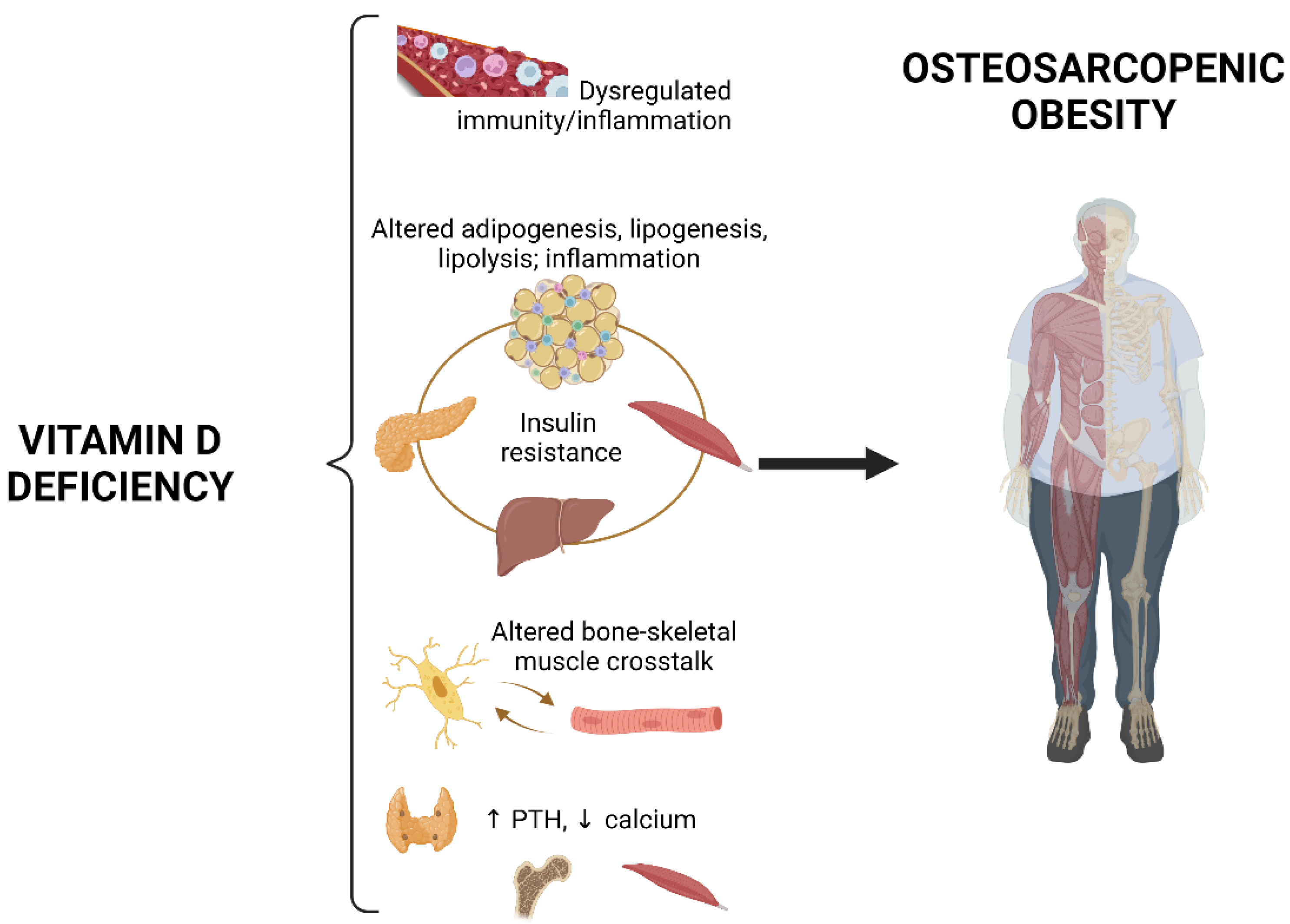 Nutrients 14 01816 g002