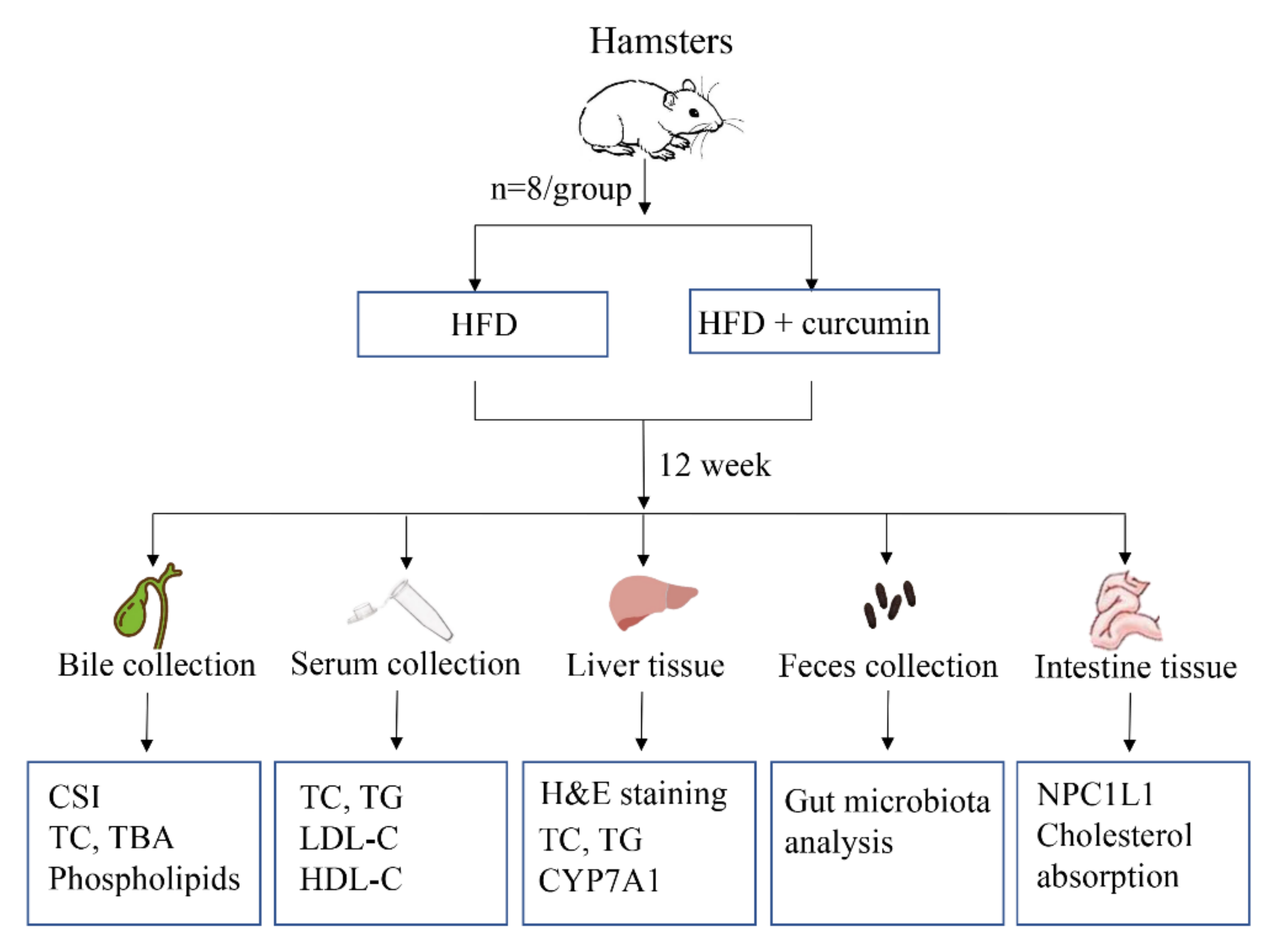 Nutrients 14 01828 g001