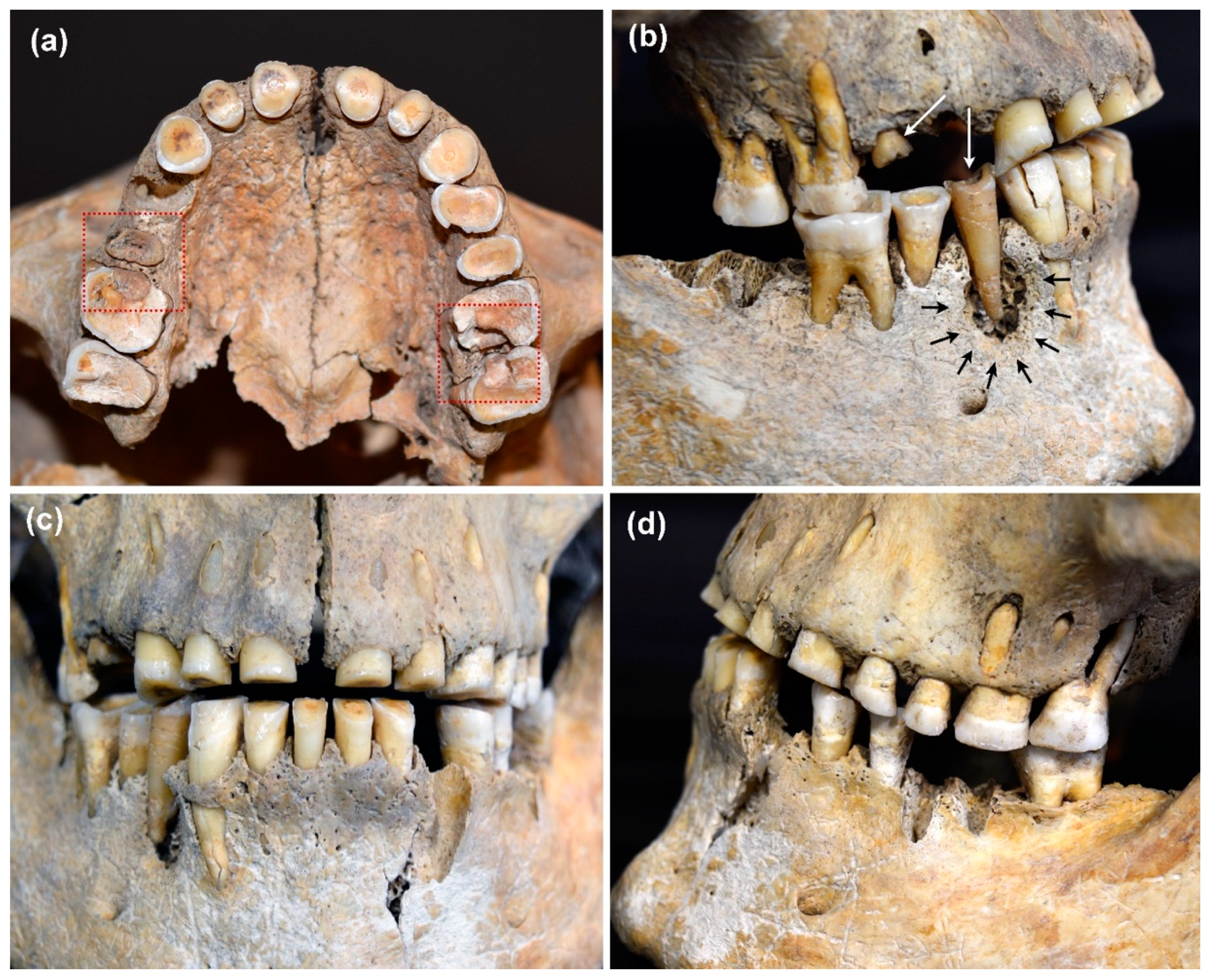 Nutrients 14 01831 g003