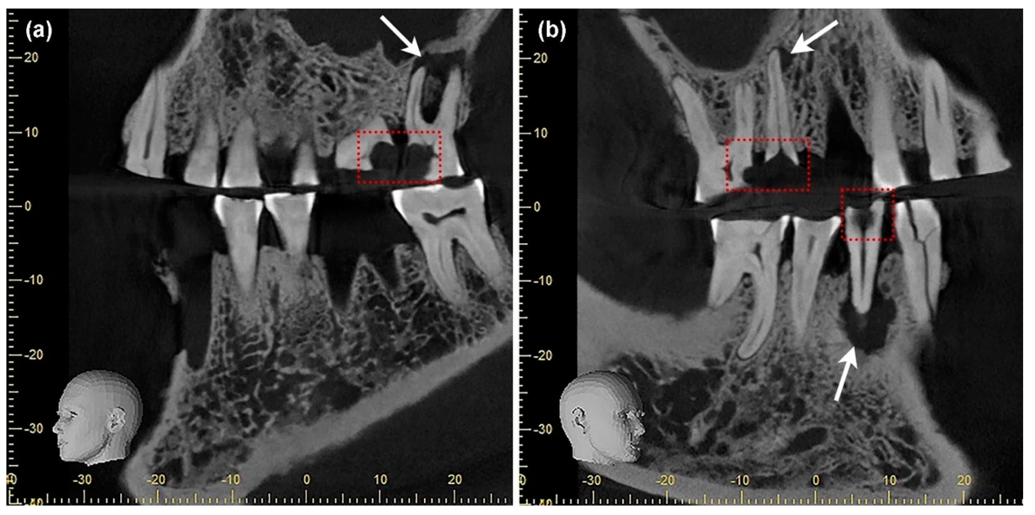 Nutrients 14 01831 g004