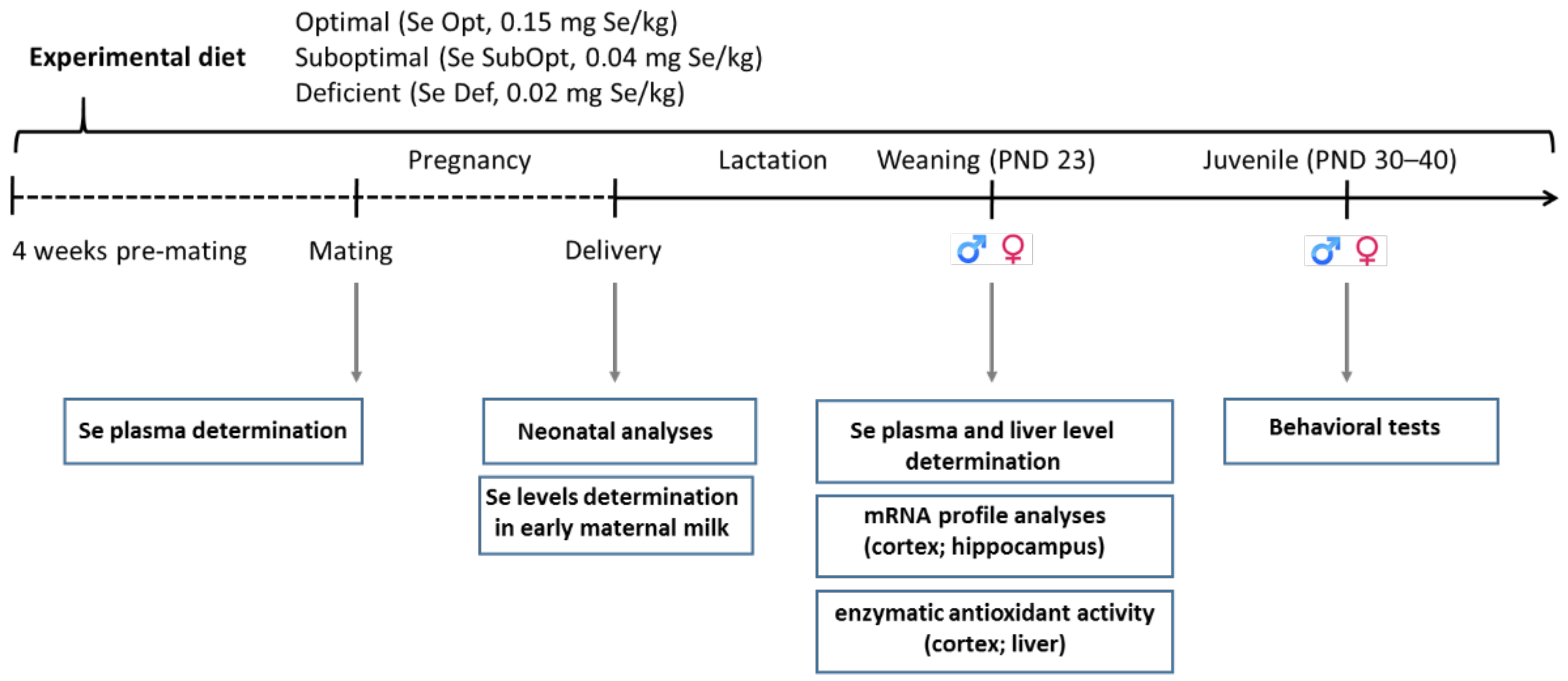 Nutrients 14 01850 g001