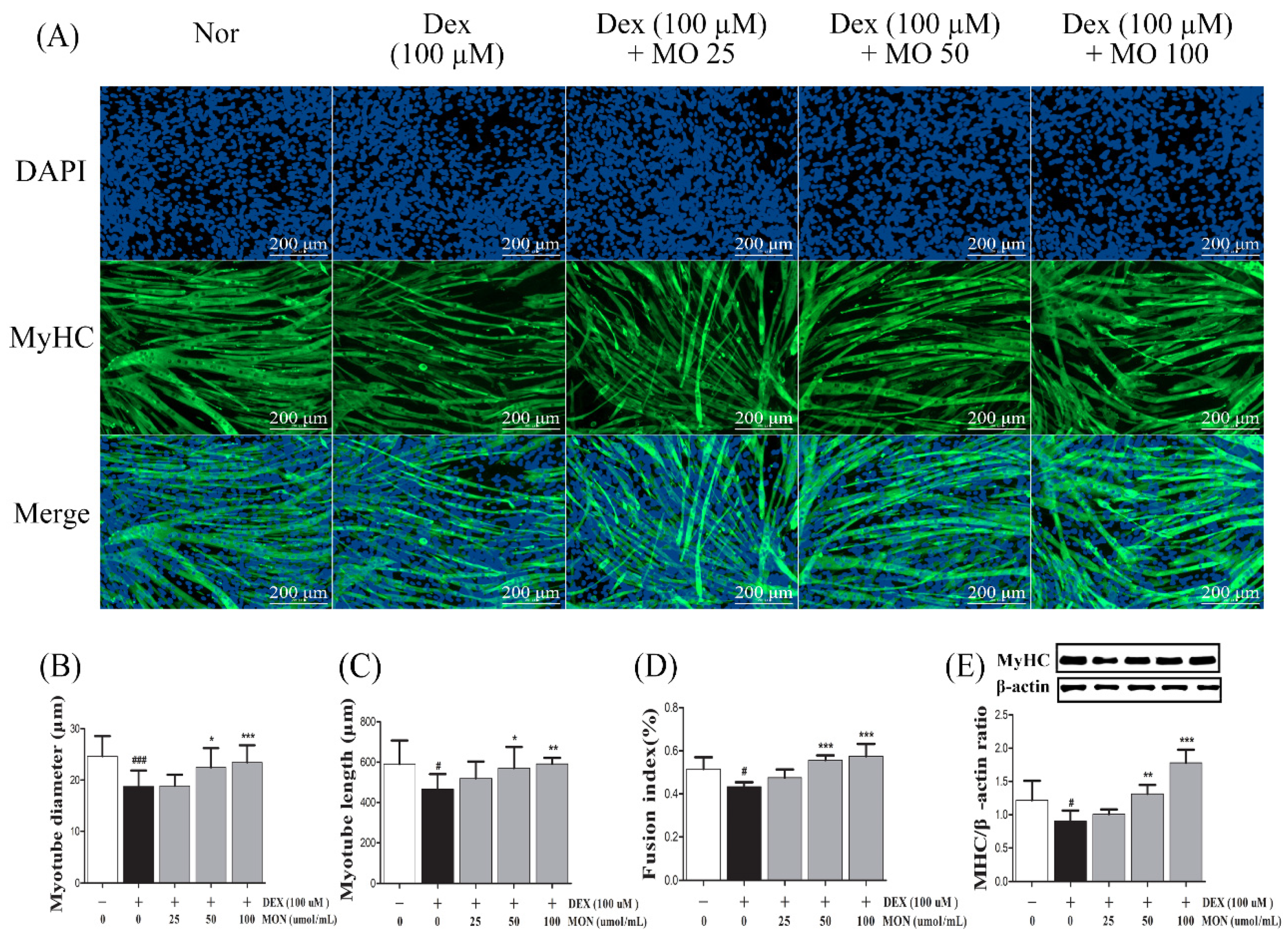 Nutrients 14 01859 g001