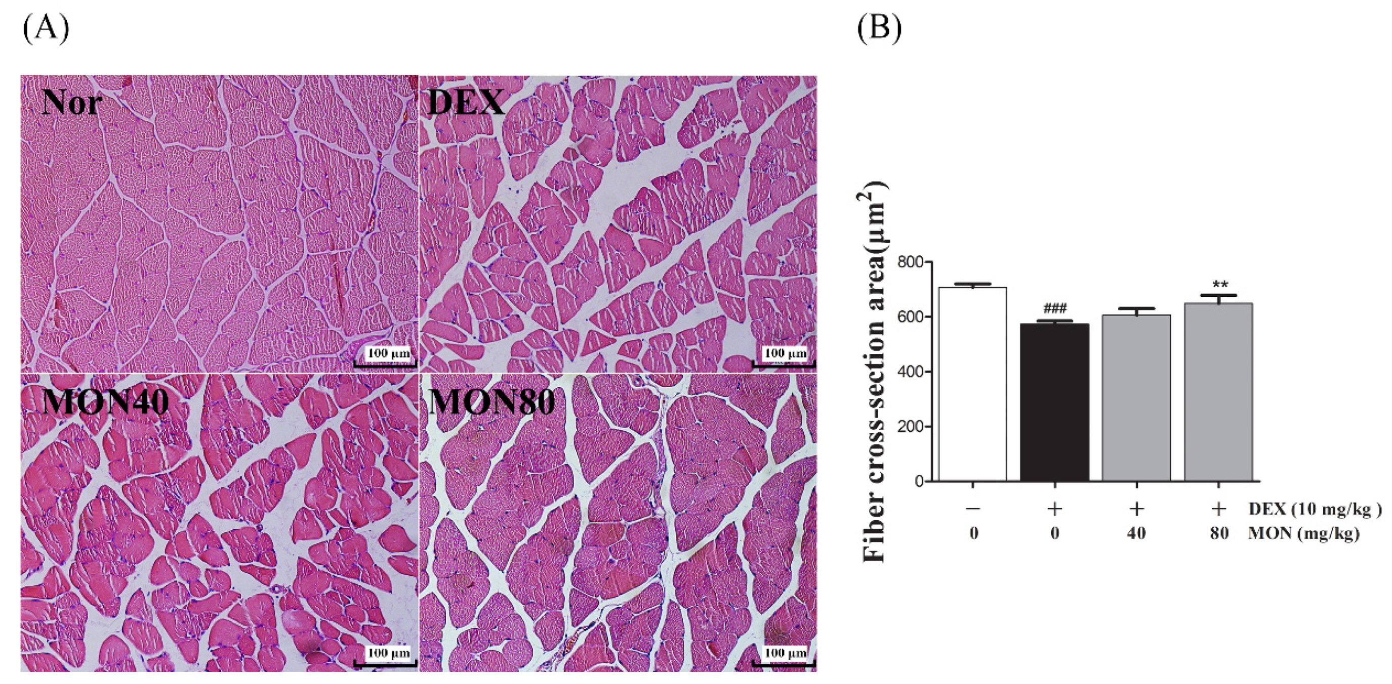 Nutrients 14 01859 g006