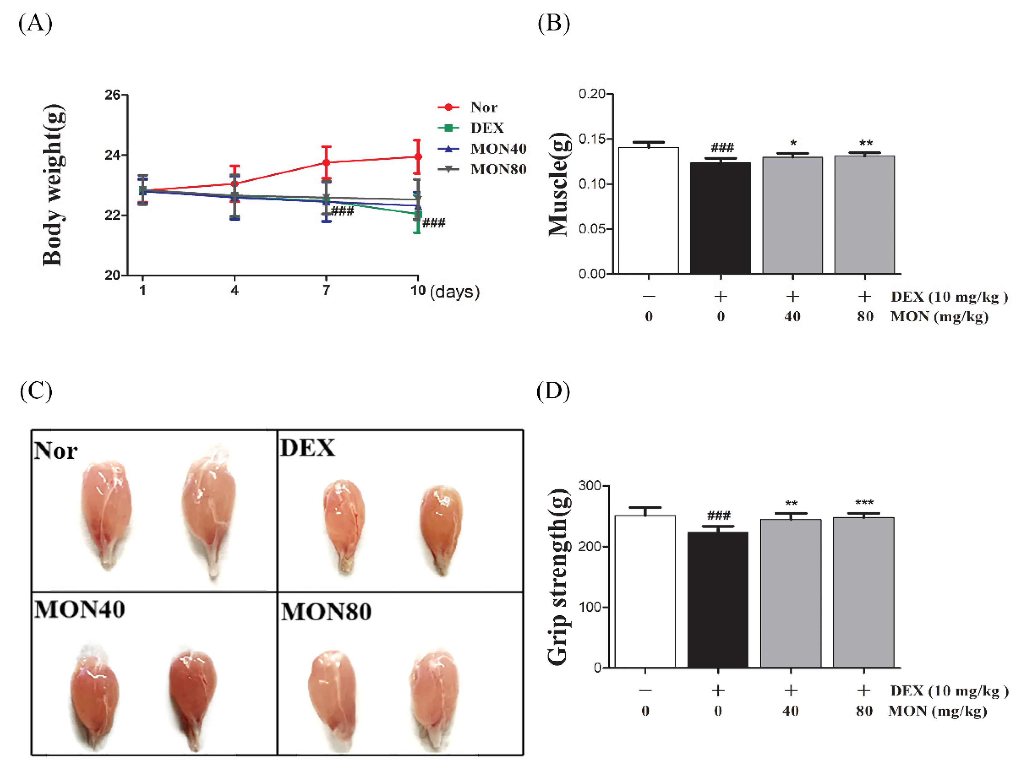 Nutrients 14 01859 g007