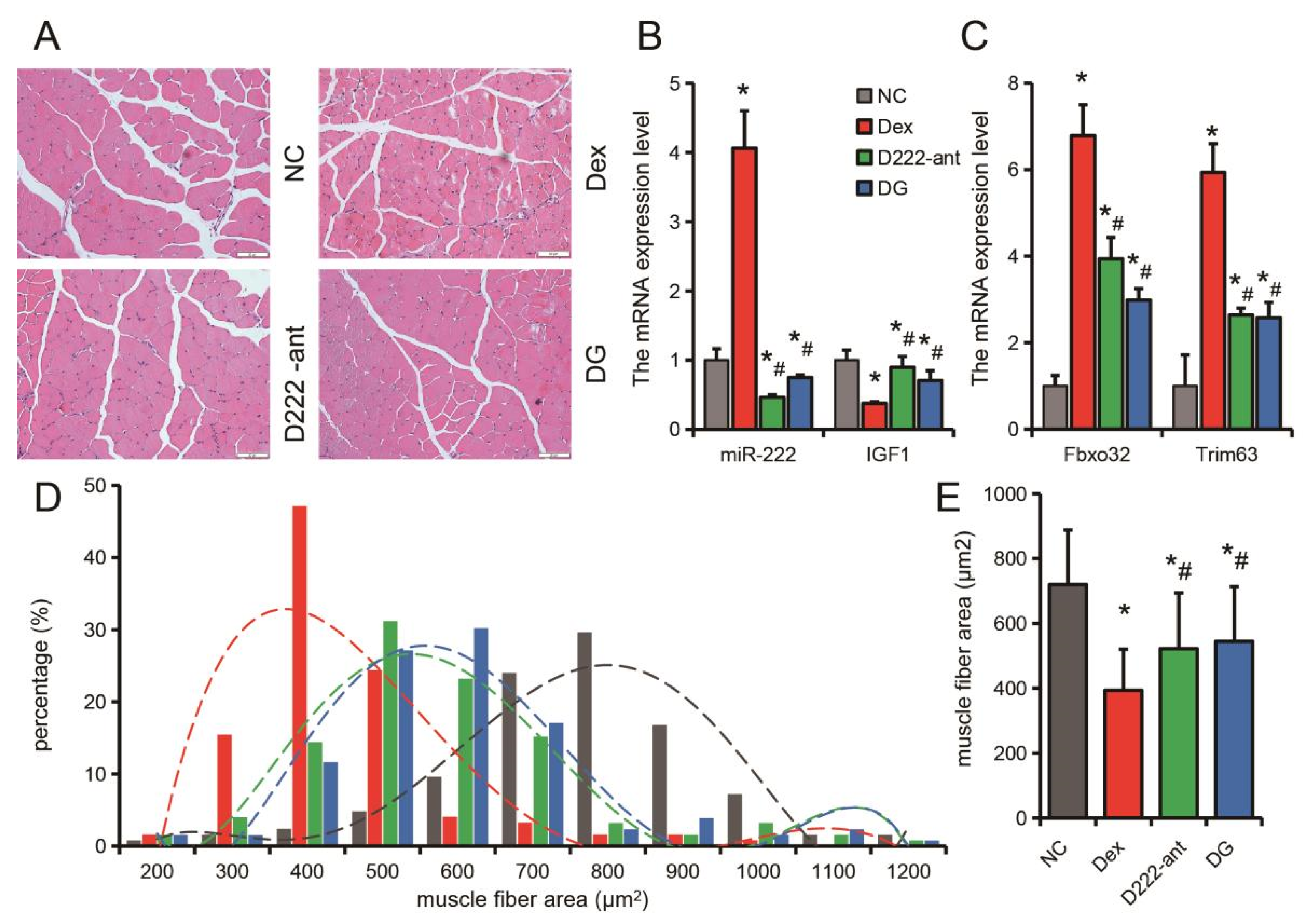 Nutrients 14 01861 g007