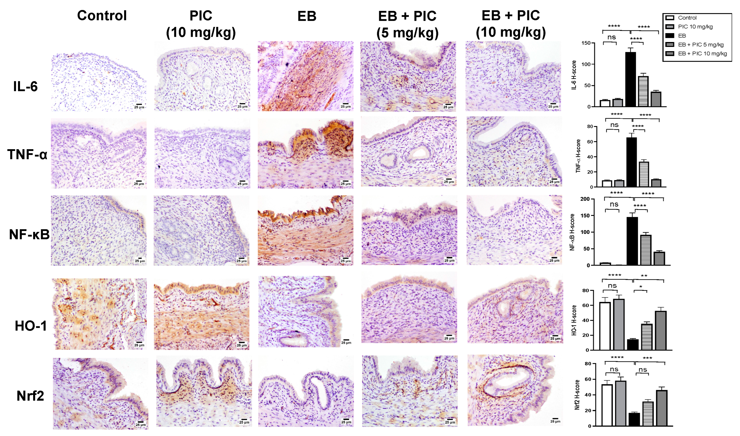 Nutrients 14 01891 g005 Nutrients 14 01891 g005