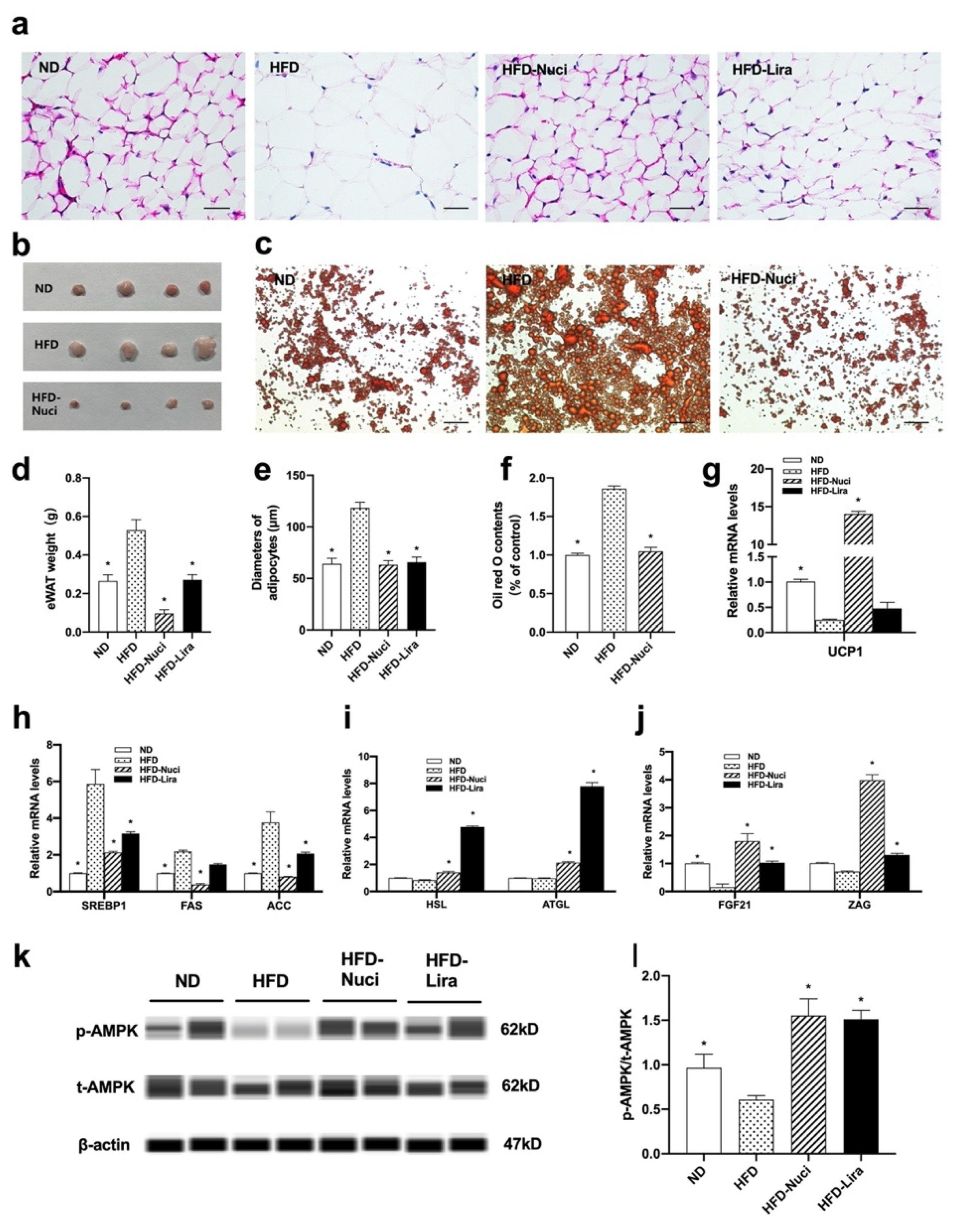 Nutrients 14 01898 g007