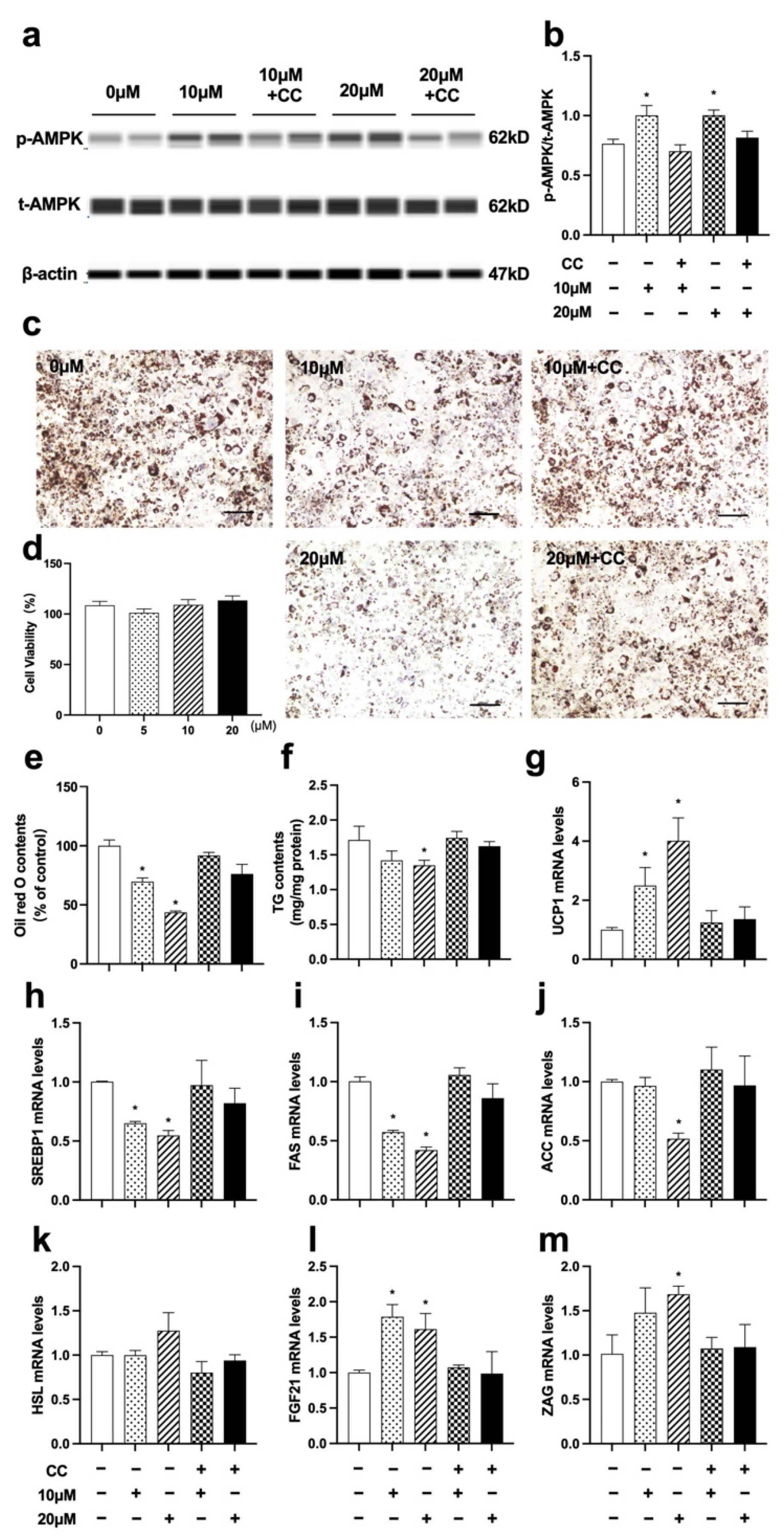 Nutrients 14 01898 g008